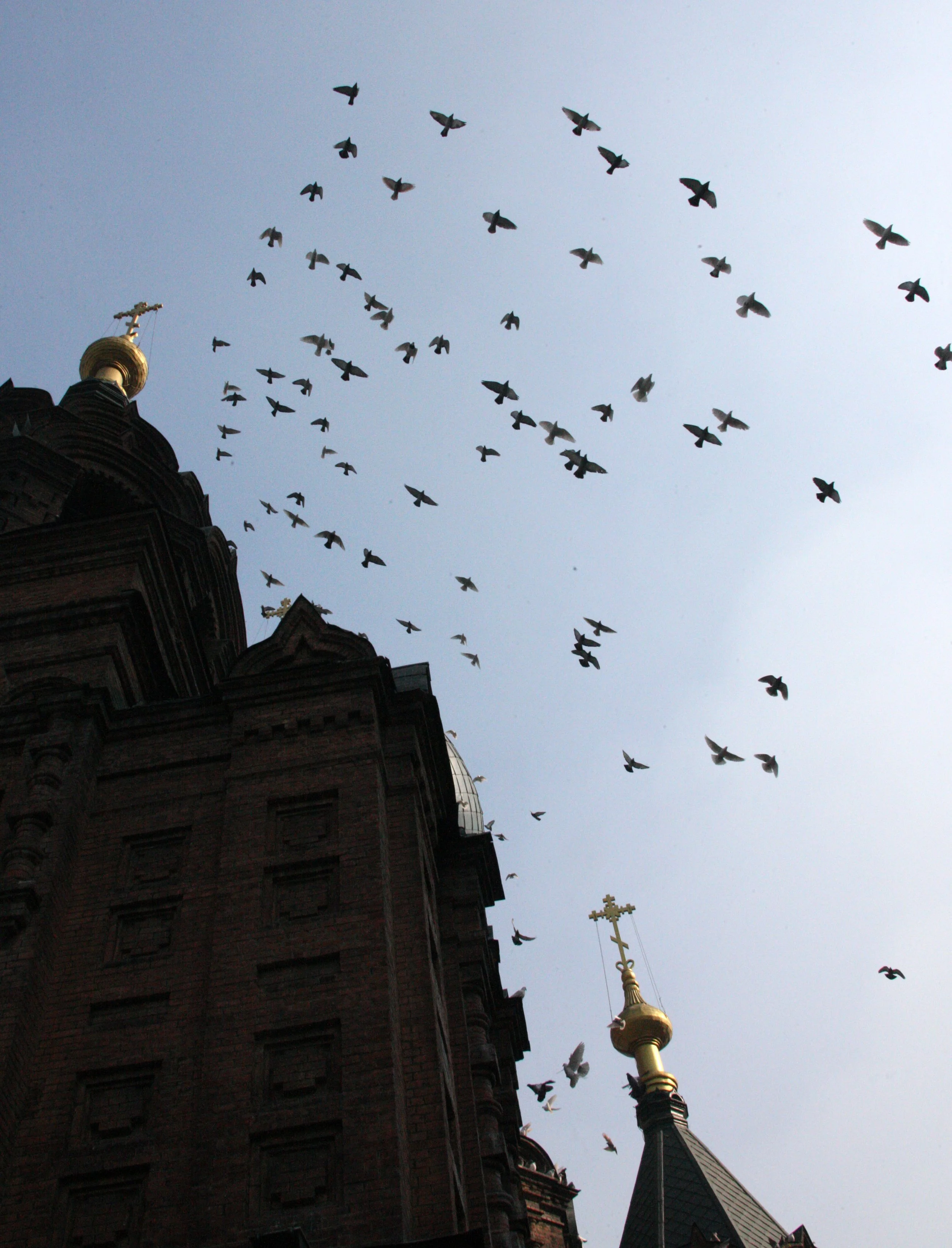 SAINT SOPHIA'S CATHEDRAL HARBIN CHINA (74).JPG