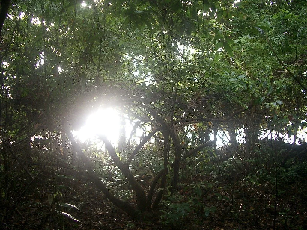 KOH LANTA - PROPERTY - 2004 (62).JPG