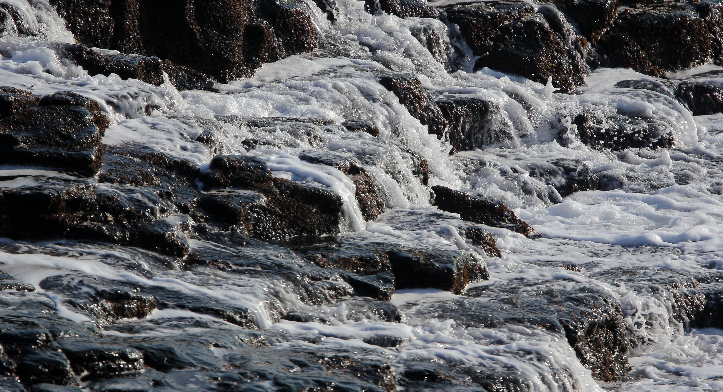 HANASAKI CAPE - NEMURO PENINSULA - HOKKAIDO JAPAN (12).JPG