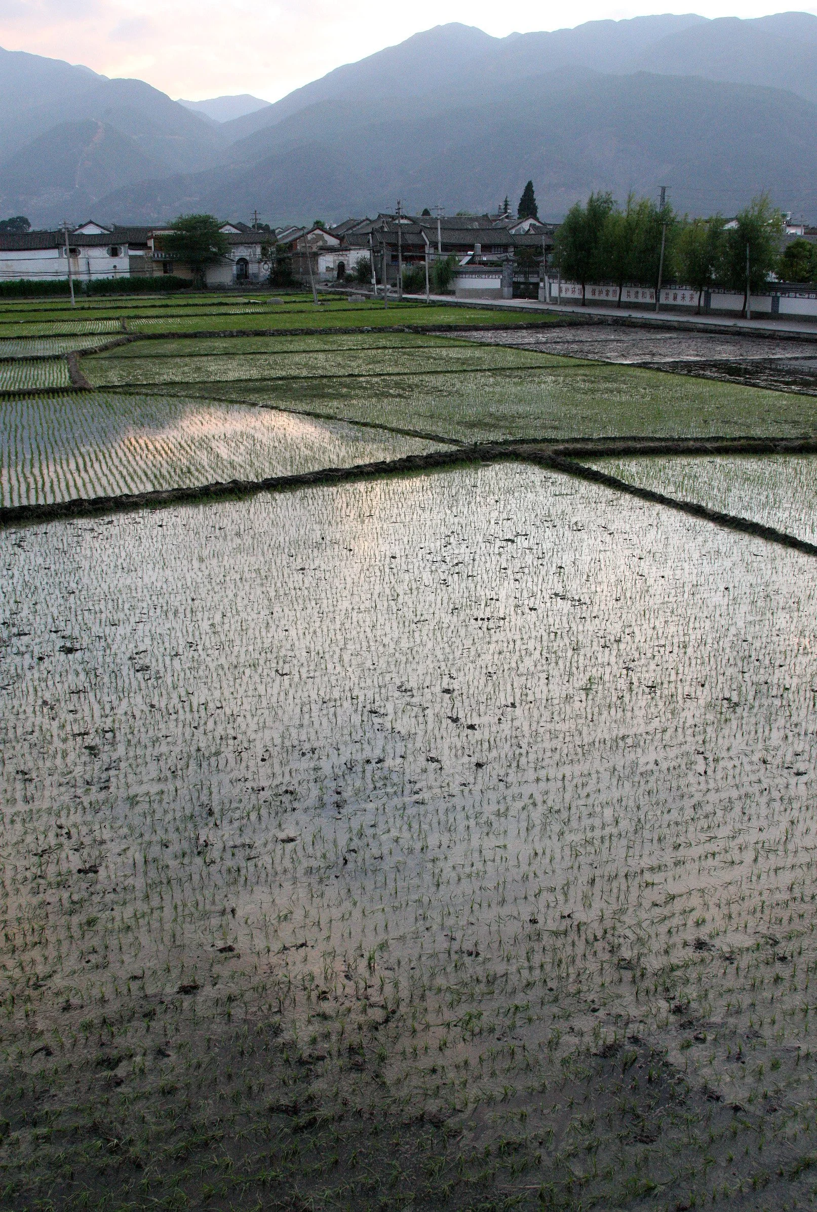 LINDEN CENTER - XIZHOU VILLAGE YUNNAN CHINA (45).JPG