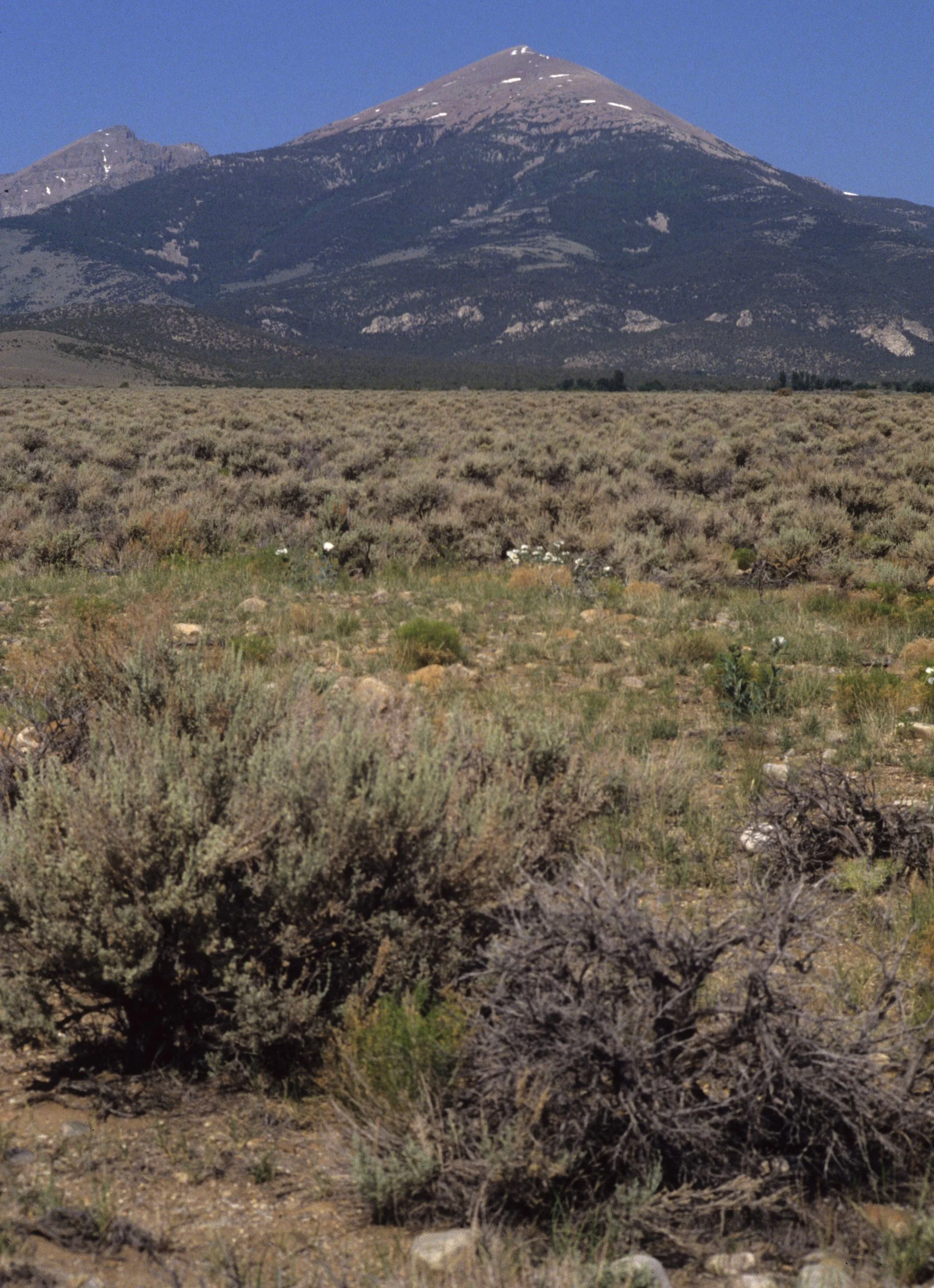 GREAT BASIN NP.jpg