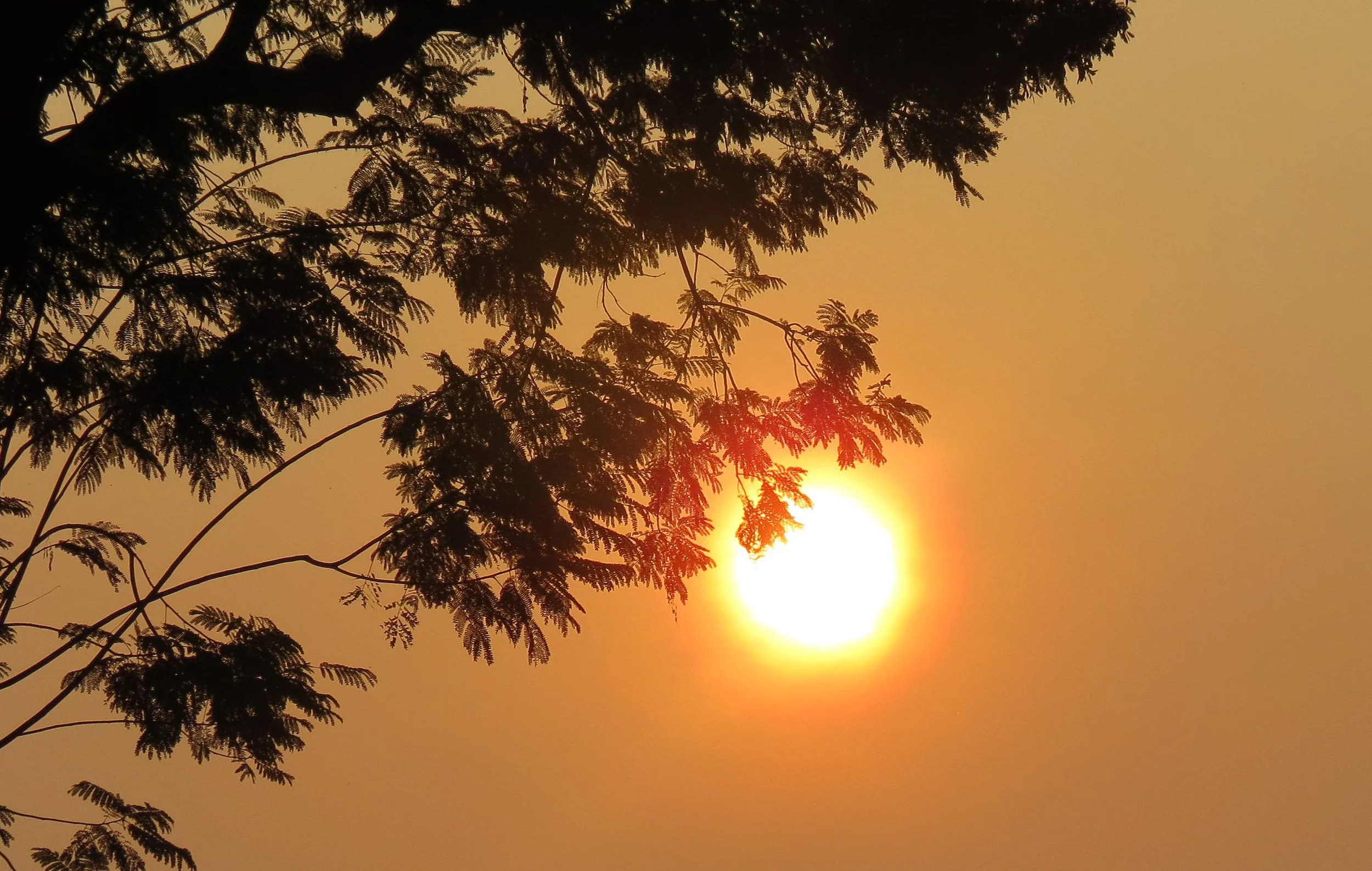 BANGUI -CENTRAL AFRICAN REPUBLIC (63).JPG