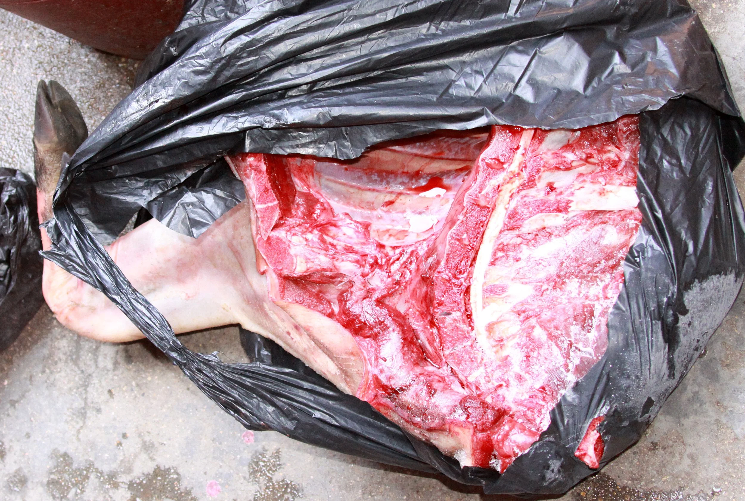 TIANLOUKENG HAKKA CLUSTER - FUJIAN CHINA (58).JPG