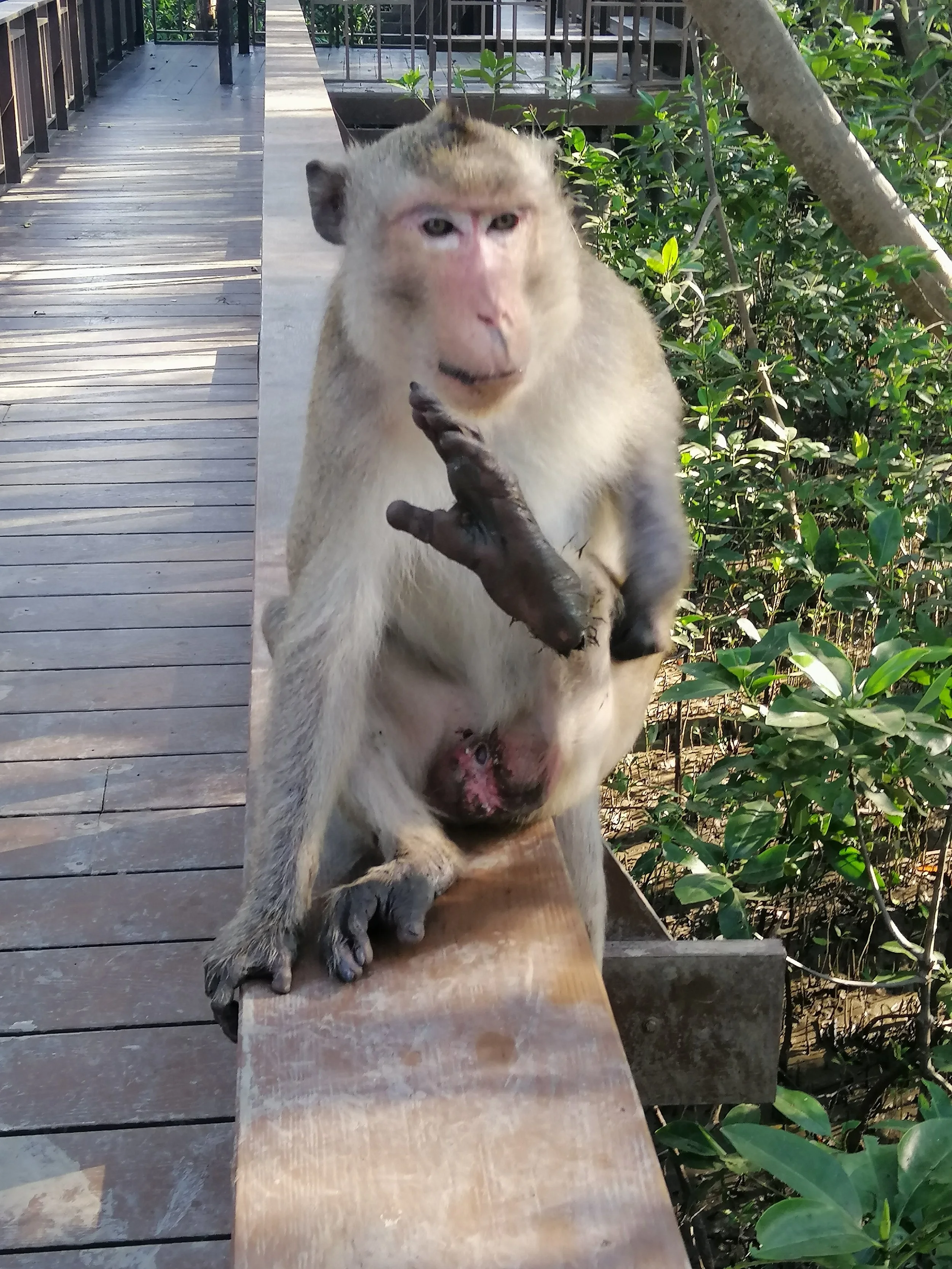 2019 Samut Prakan Phra Chulachomklao Fort Motorcycle Rides with Cokie & Gift (25).jpg