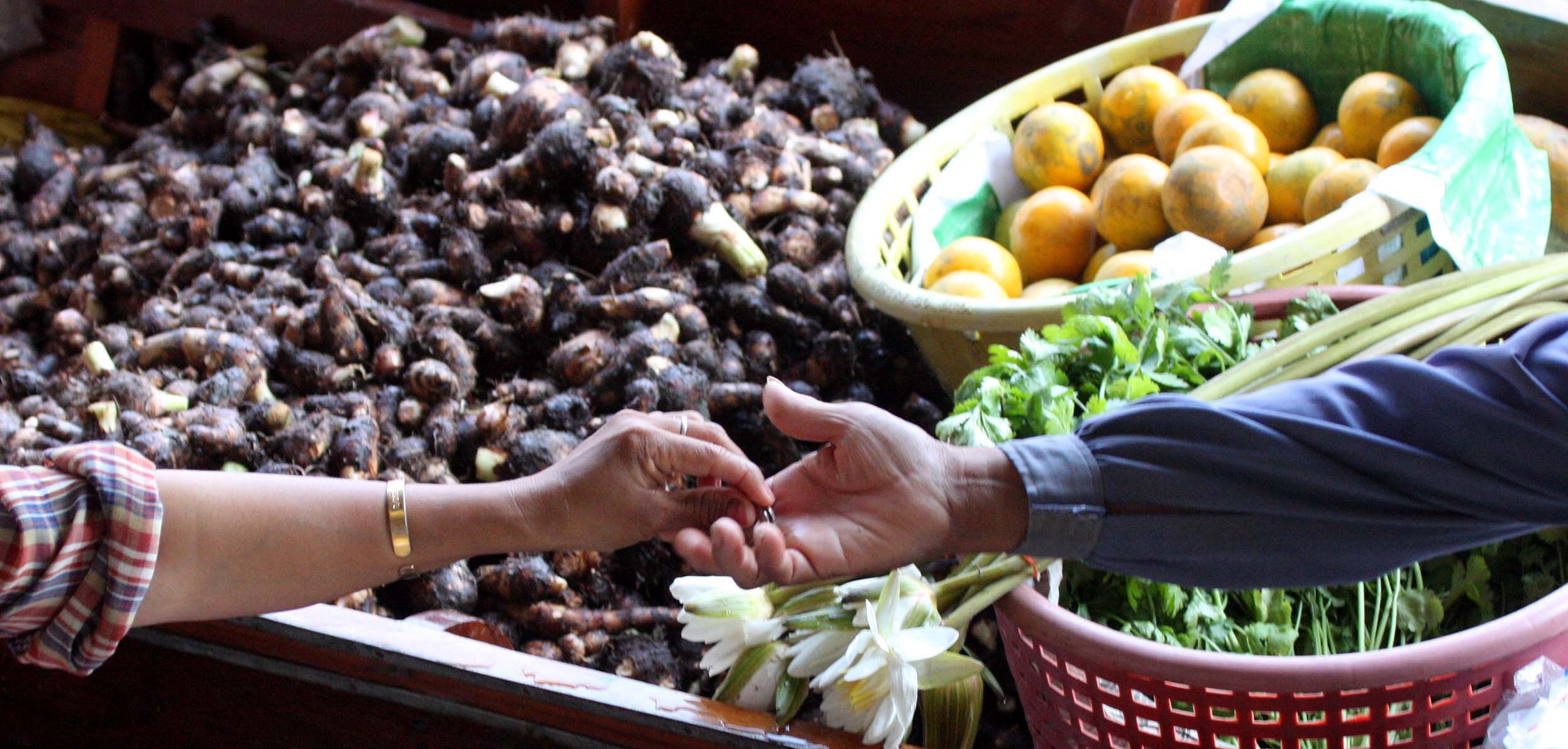 2008 Damnoen Saduak Floating Market Day Trip (118).JPG