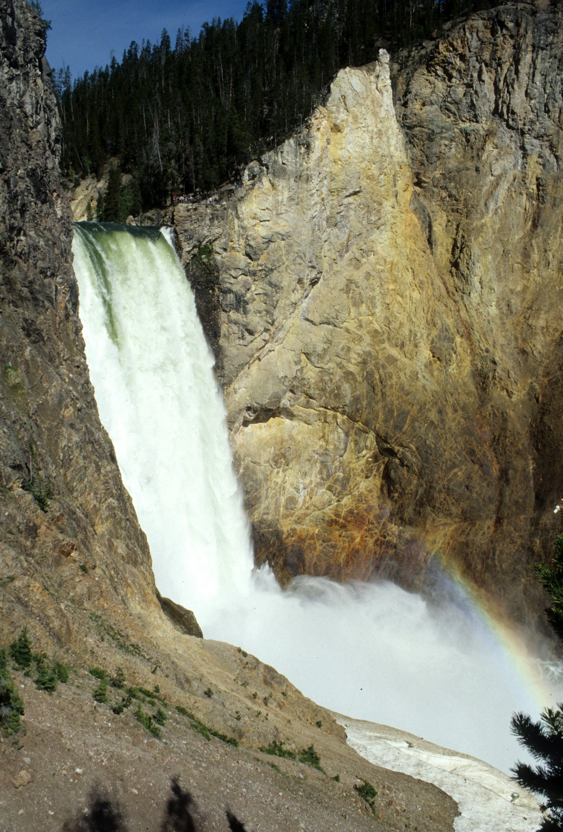 YELLOWSTONE - LOWER FALLS A.jpg