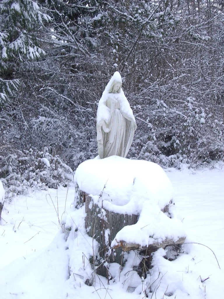 2004-1-3 LAKE FARM IN SNOW (7).JPG