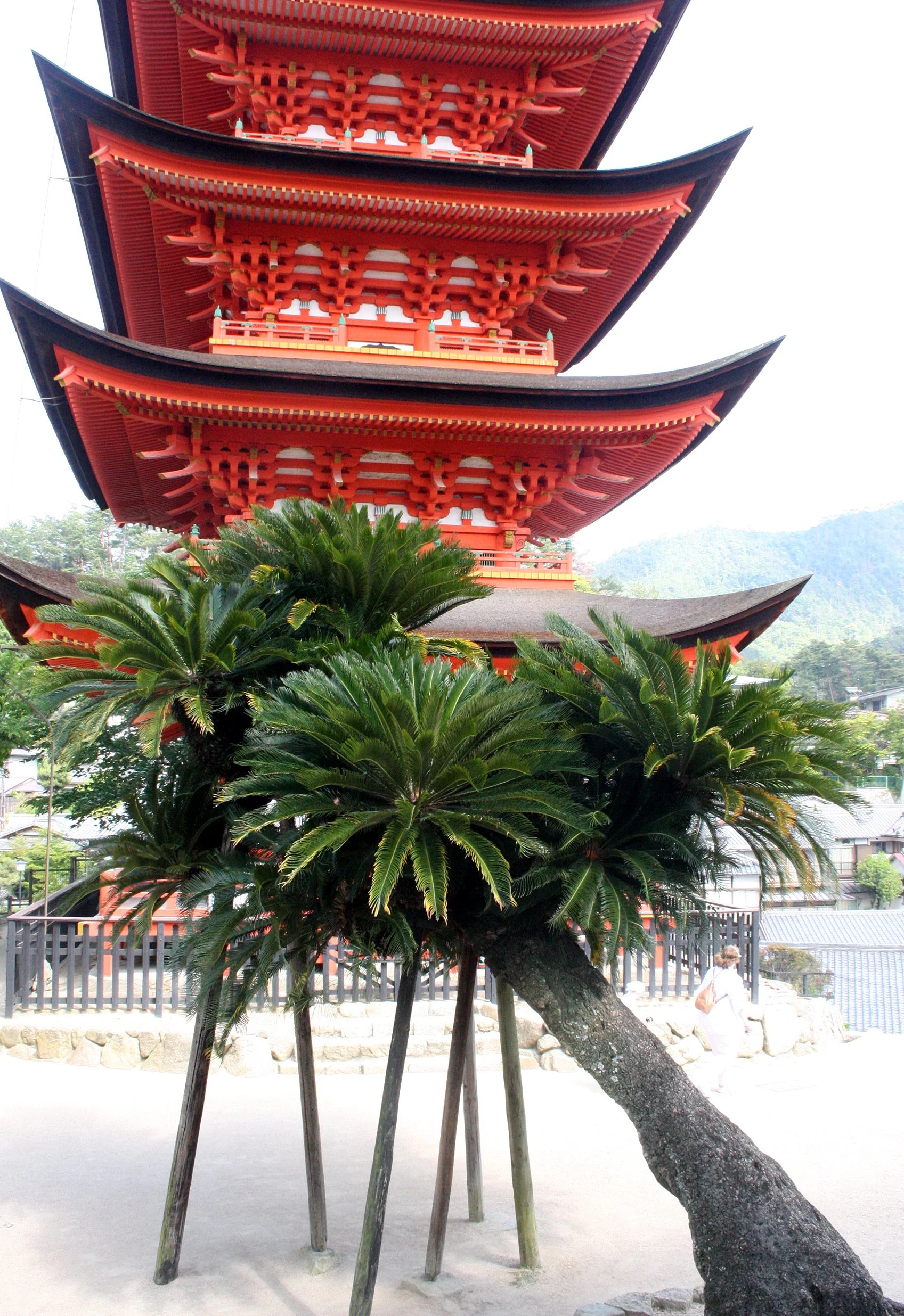 MIYAJIMA - MAY 2009 - SCENES AND LANDSCAPES (80).JPG