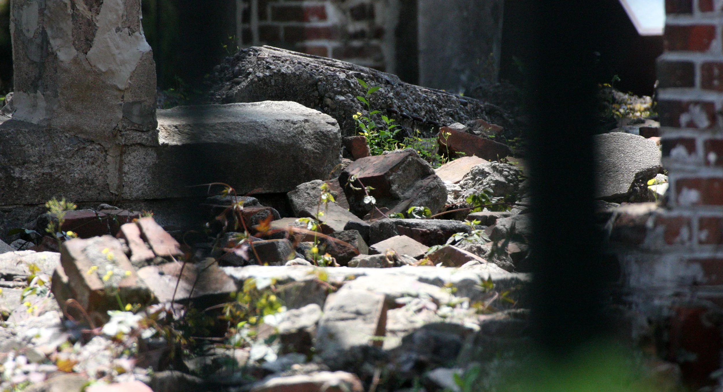 Hiroshima Peace Park