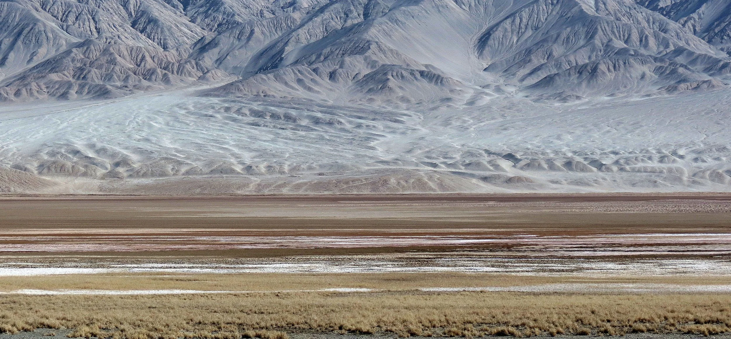 LOP NUR WILD BACTRIAN CAMEL RESERVE - XINJIANG CHINA (69).JPG