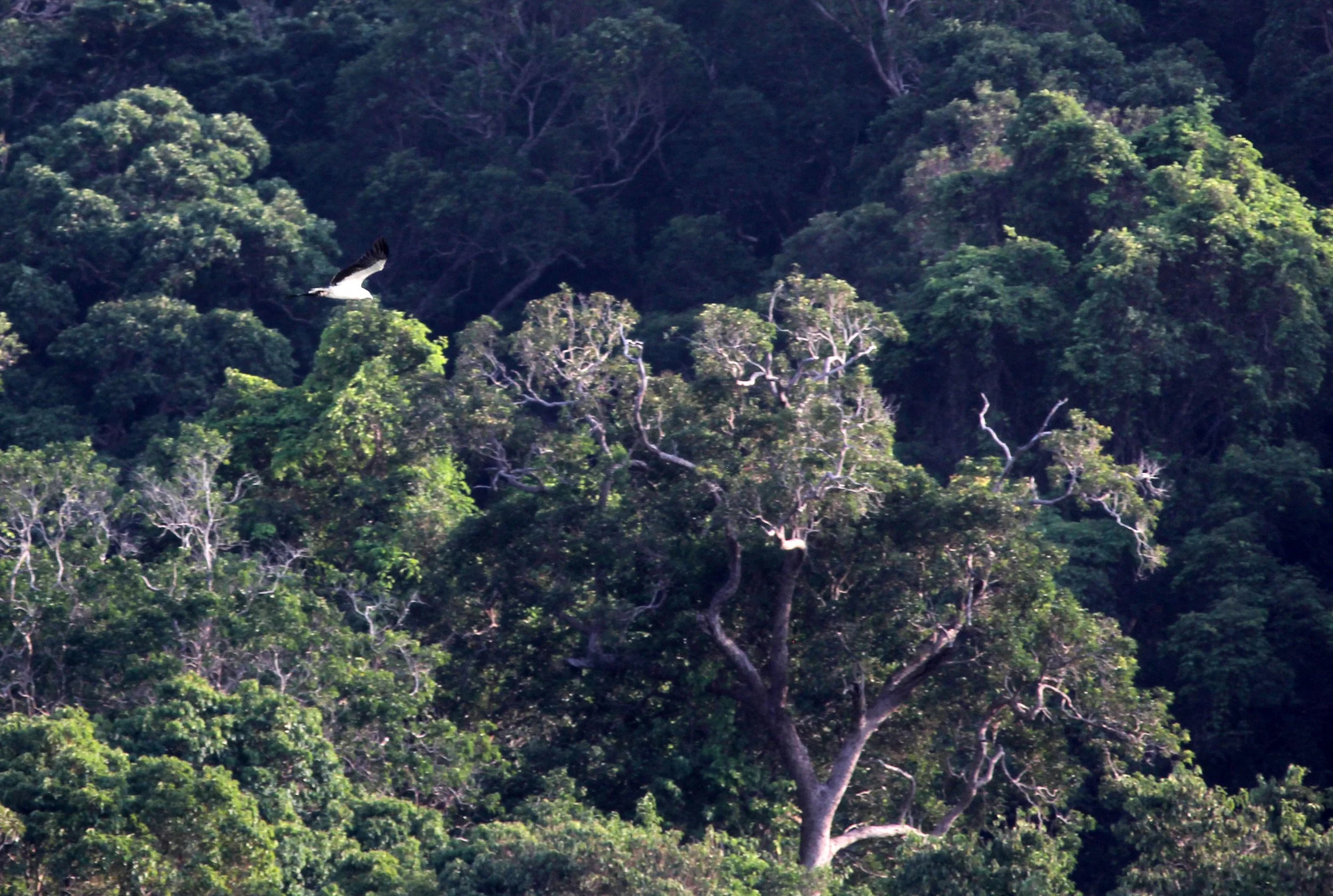 2014 Similans Trip with Family on The Junk (196).JPG