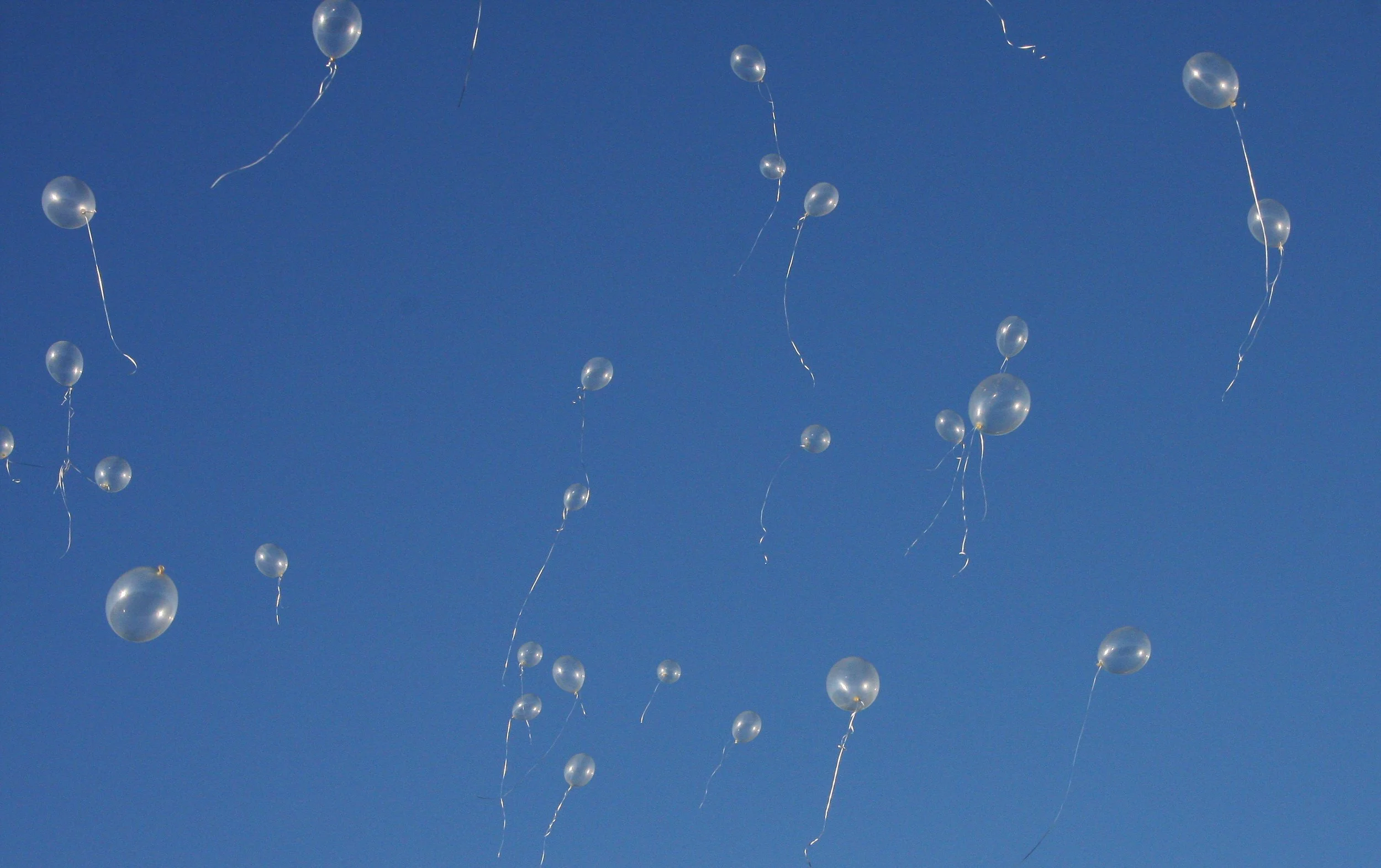 2008-6-21 ANDREW'S WEDDING - LEBANON OREGON (58).JPG