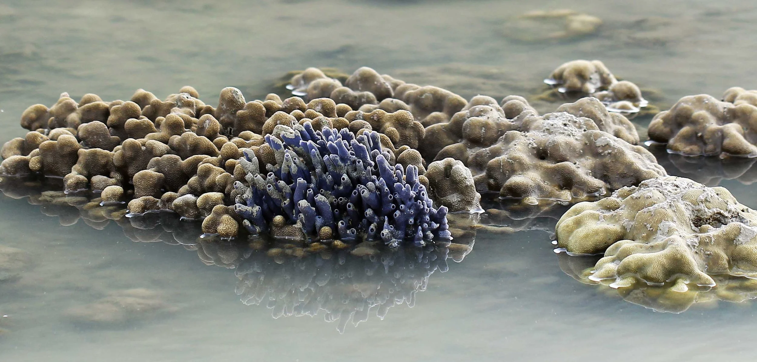 2015 Koh Lanta Songkran with friends from ISB (599).JPG