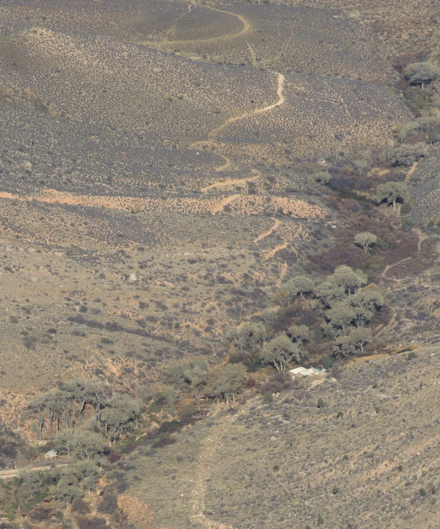 ARIZONA - GRAND CANYON - SOUTH RIM VIEW N1.jpg