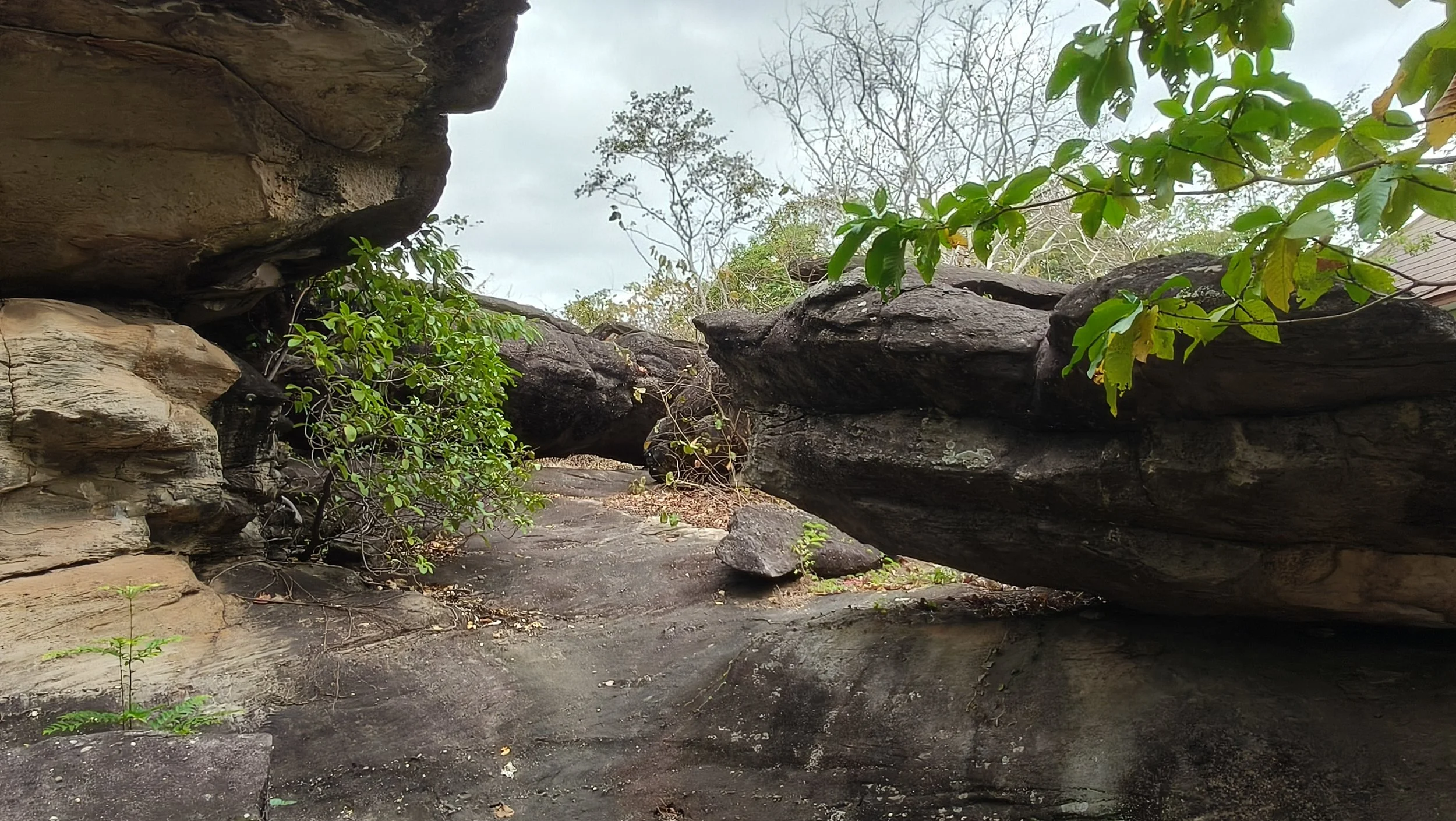  Phu Pha Thoep National Park - Mukdahan Thailand (5).jpg
