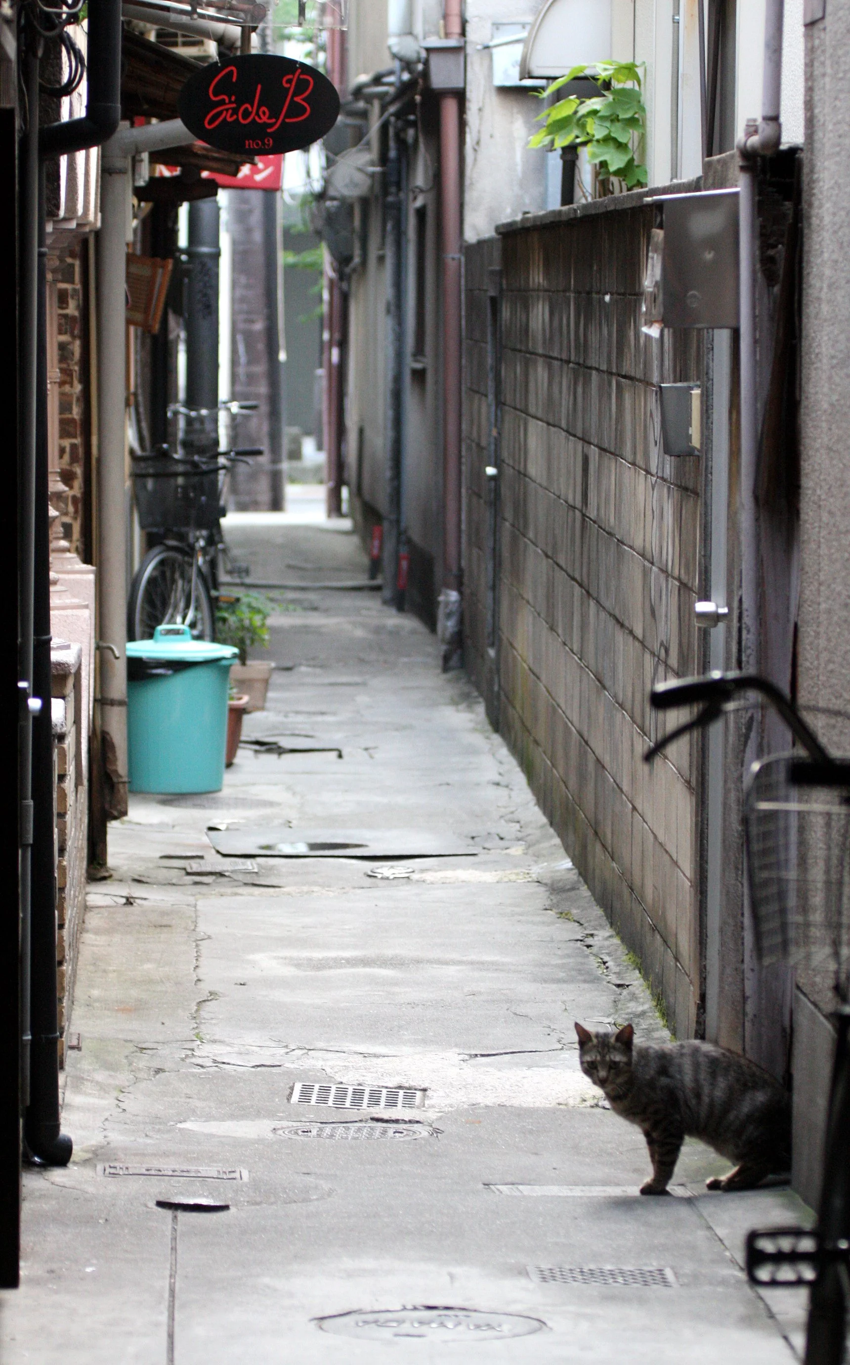 KYOTO - MAY 2009 - CITY SCENES AND LANDSCAPES (19).JPG