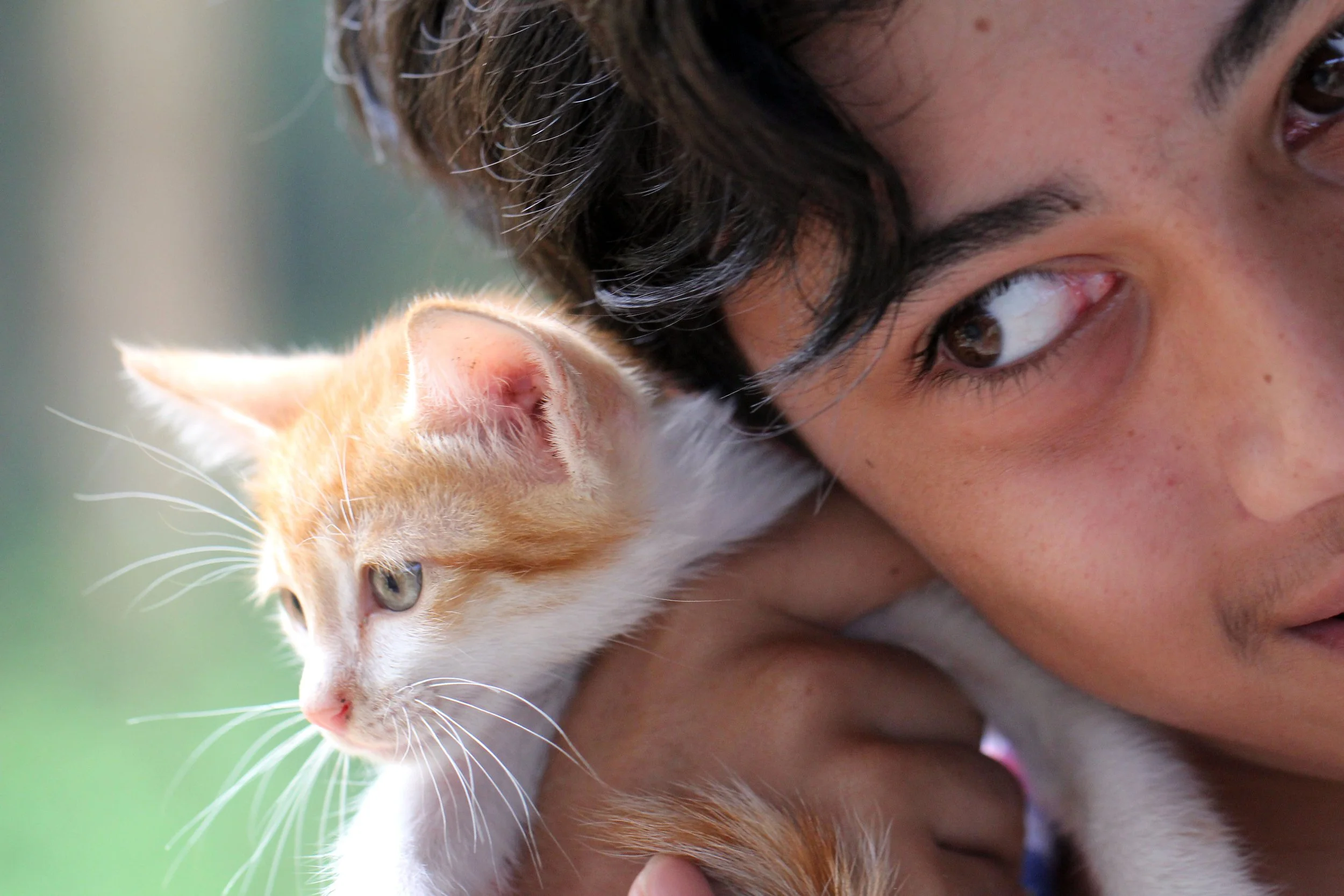 2015 Koh Lanta October Break Trip  (246).JPG