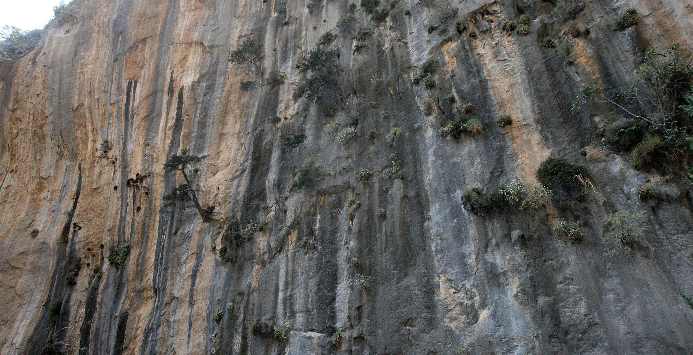 SAMARIA GORGE NATIONAL PARK CRETE (98).JPG