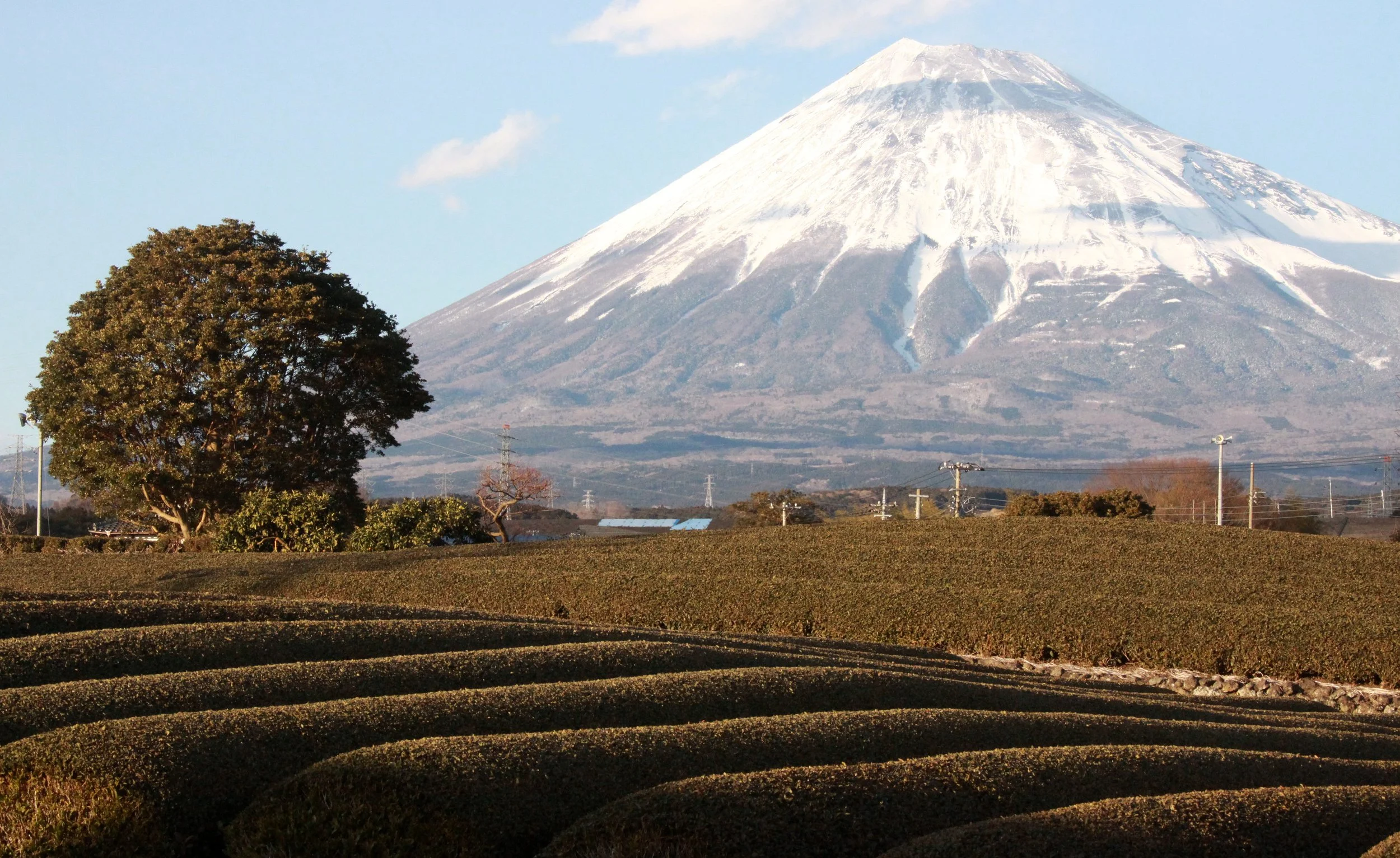 MOUNT FUJY - AS SEEN FROM FUJI CITY JAPAN (4).JPG