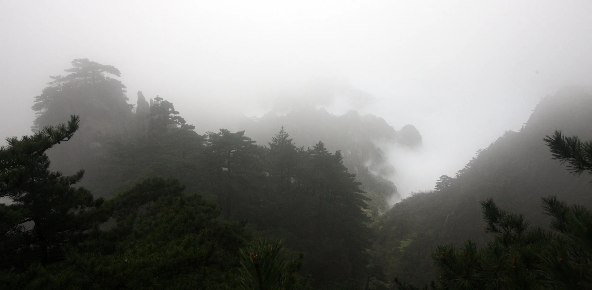 HUANGSHAN NATIONAL PARK ANHUI PROVINCE CHINA (242).JPG