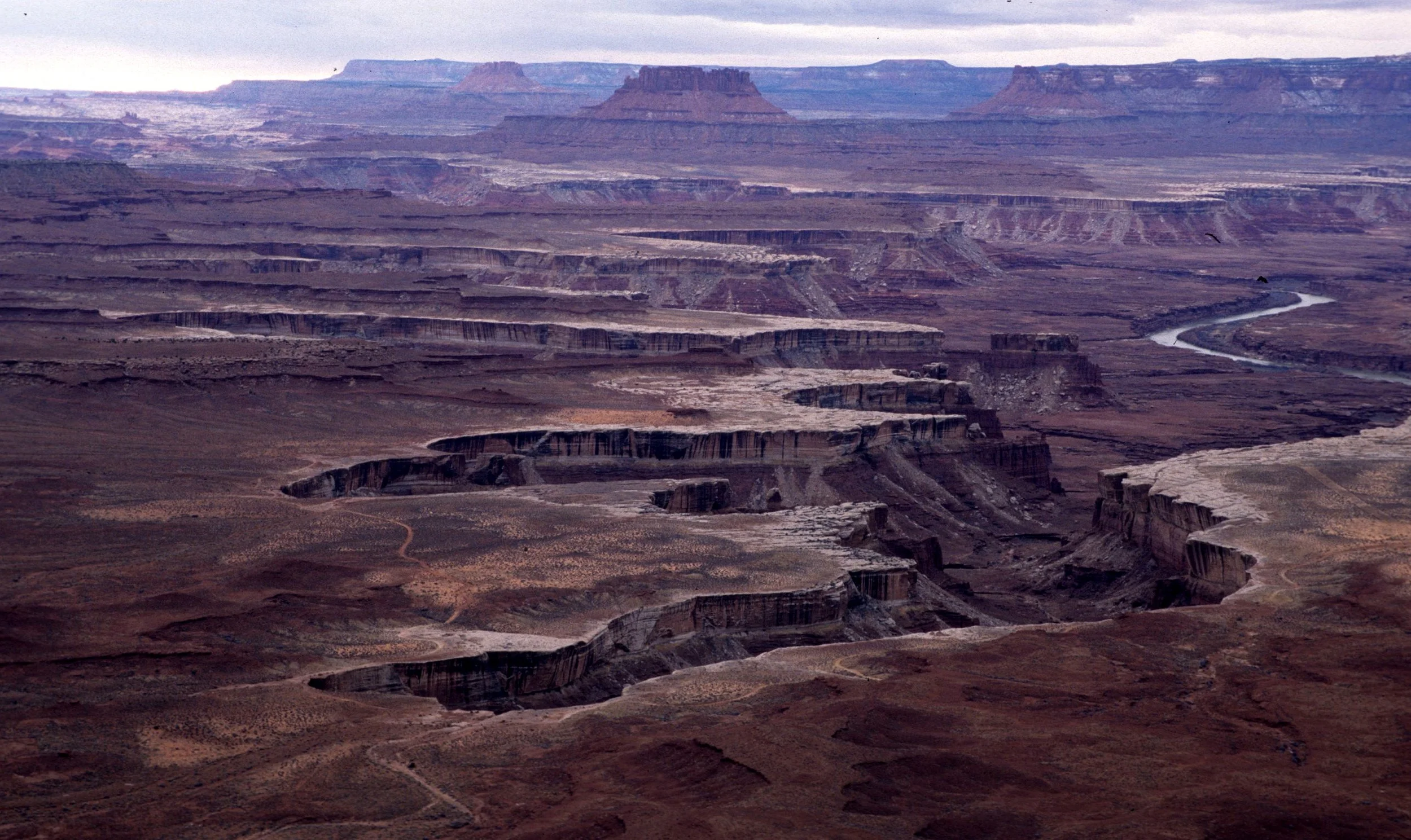 UTAH - CANYONLANDS - GREEN RIVER.jpg