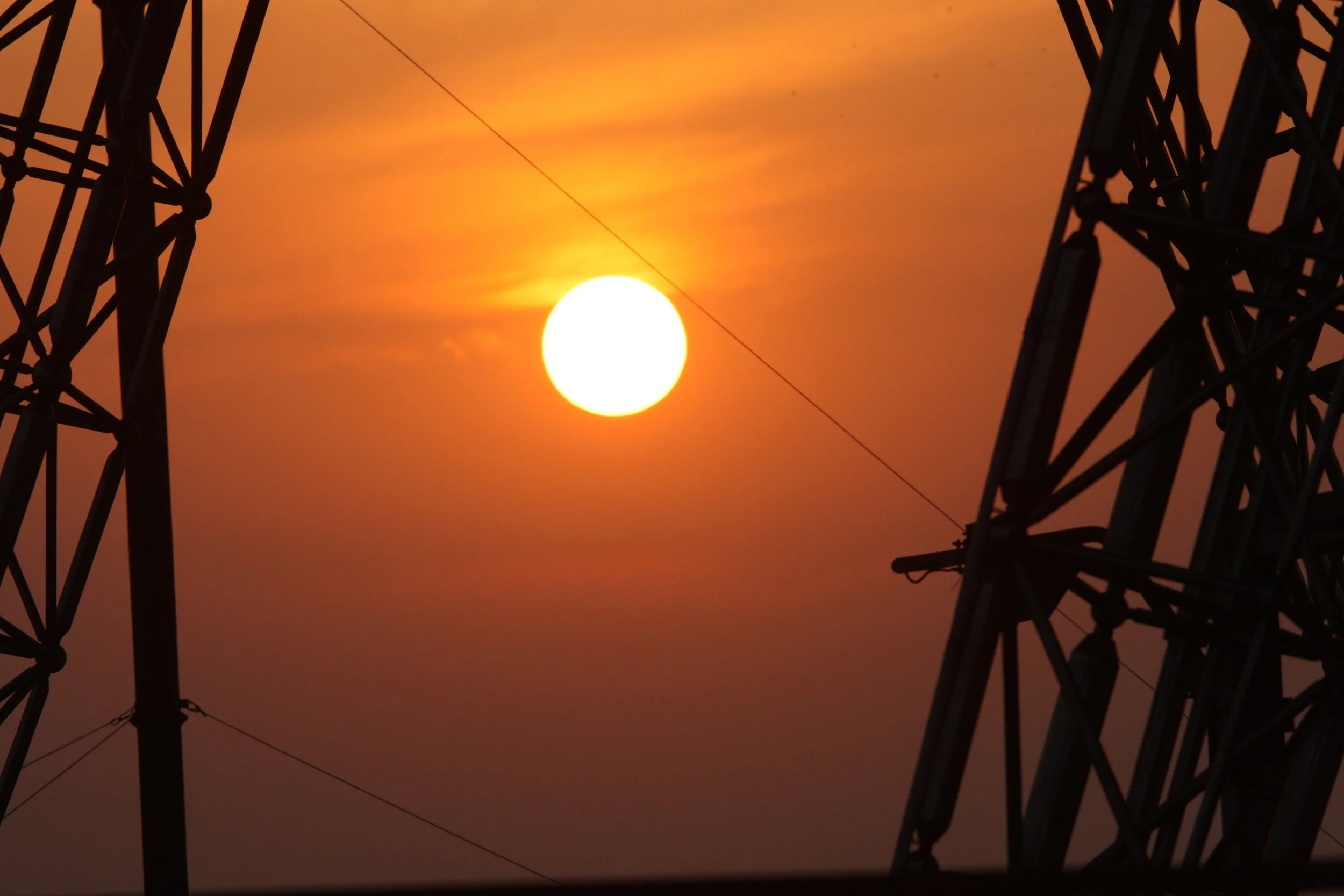 RUDONG CHINA -  BIRDING TRIP - 15-17 OCTOBER 2010 (36).JPG