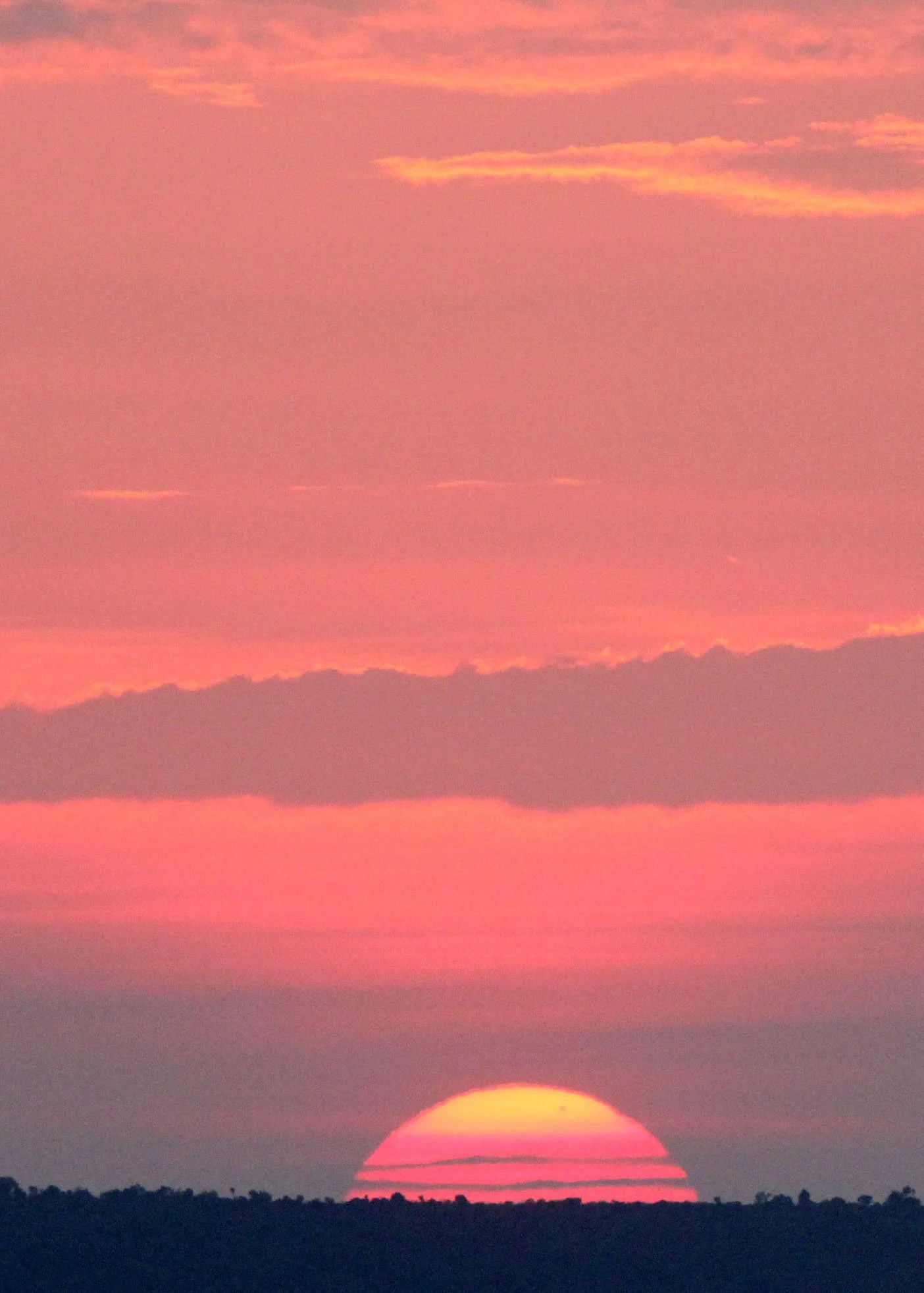 MASAI MARA NATIONAL PARK KENYA (5).JPG