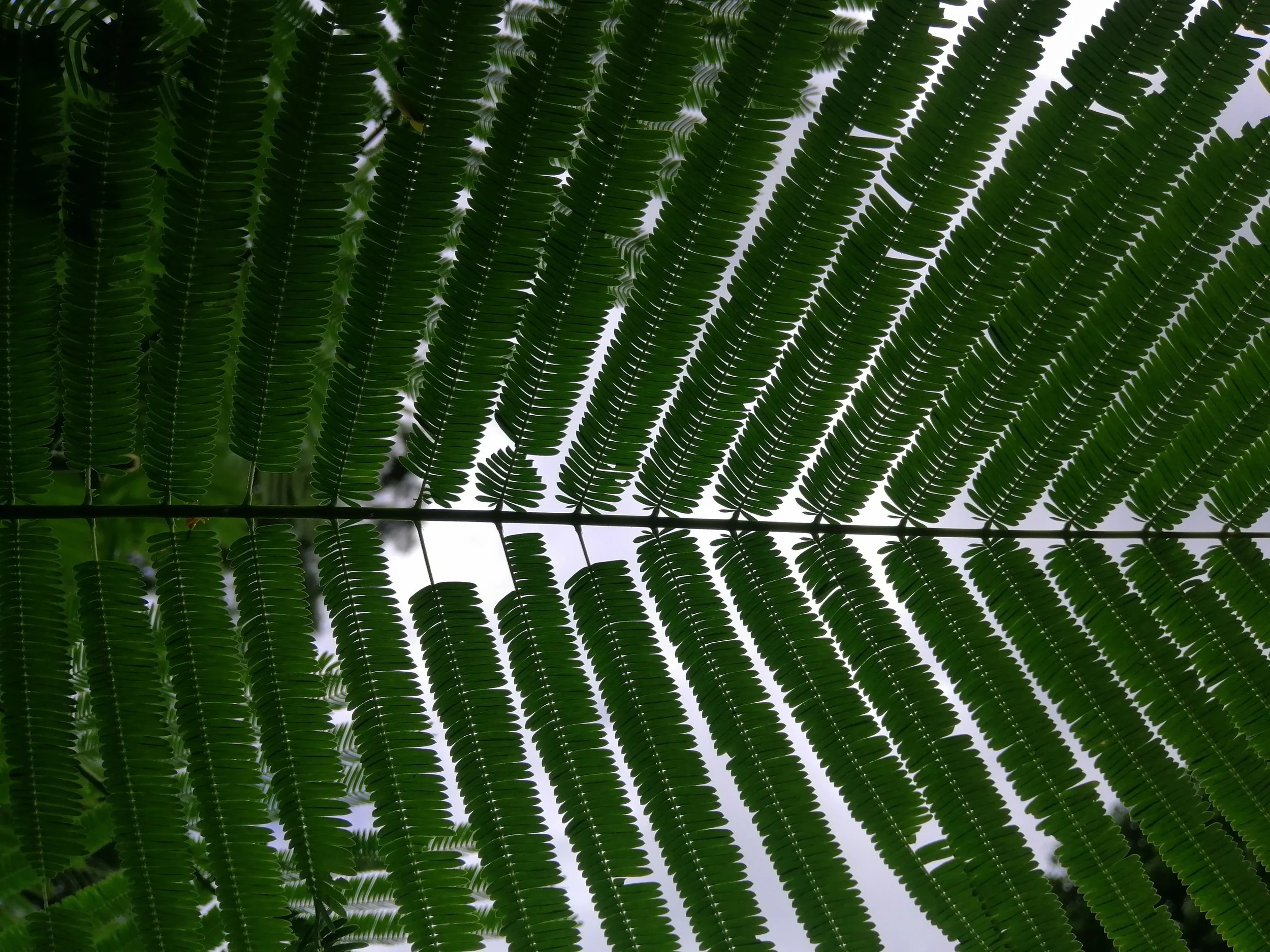 2019 Koh Chang Summer Road Trip (57).jpg