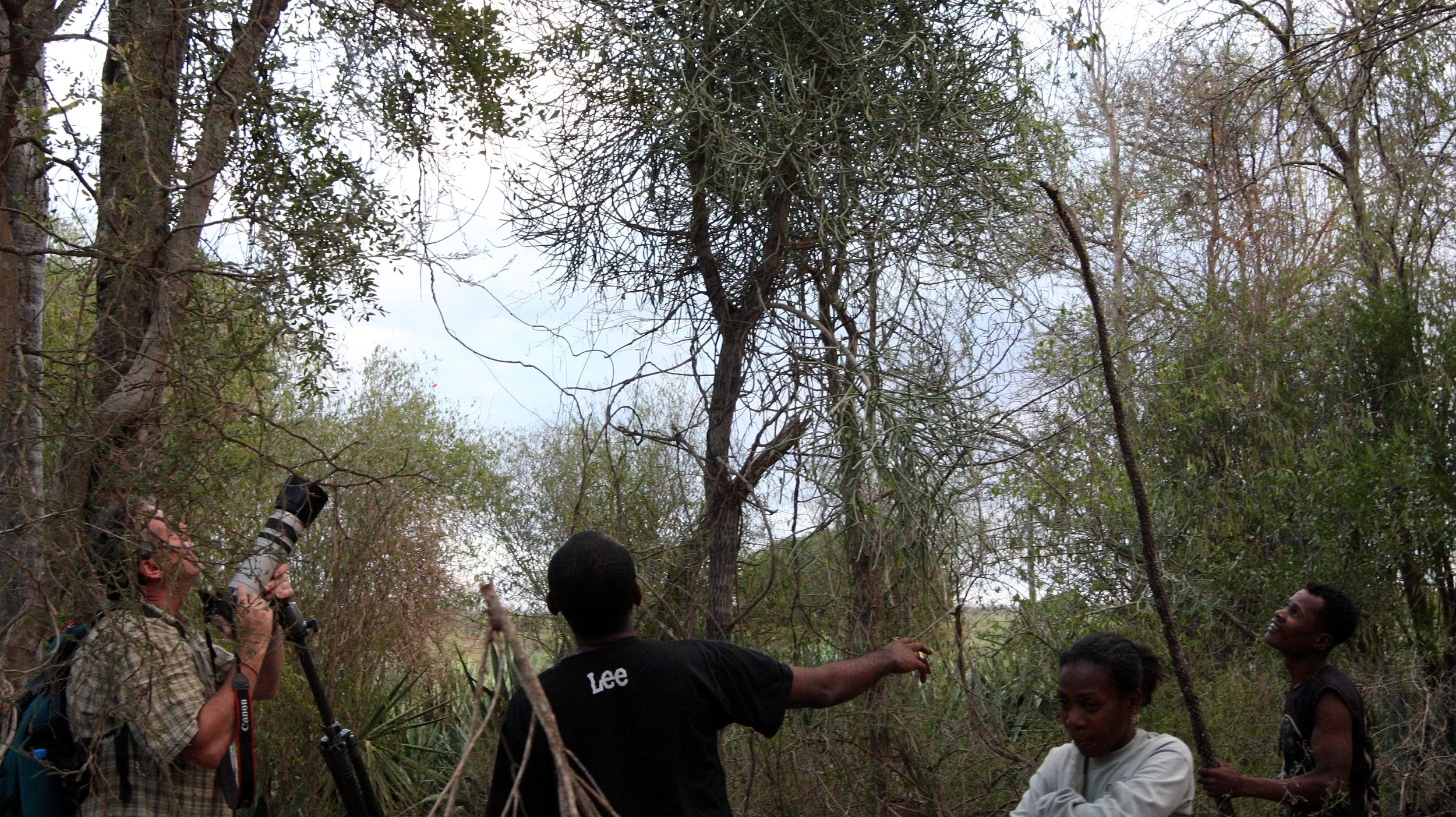 BERENTY RESERVE MADAGASCAR - PHOTOGRAPHING IN THE SPINY FOREST.JPG