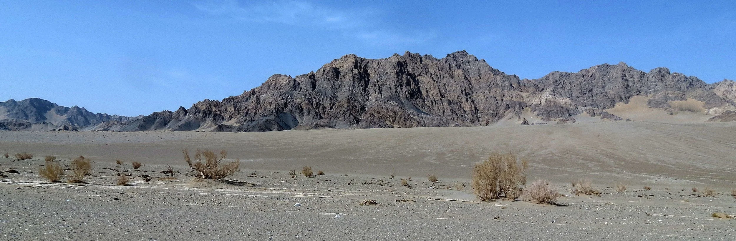 LOP NUR WILD BACTRIAN CAMEL RESERVE - XINJIANG CHINA (20).JPG
