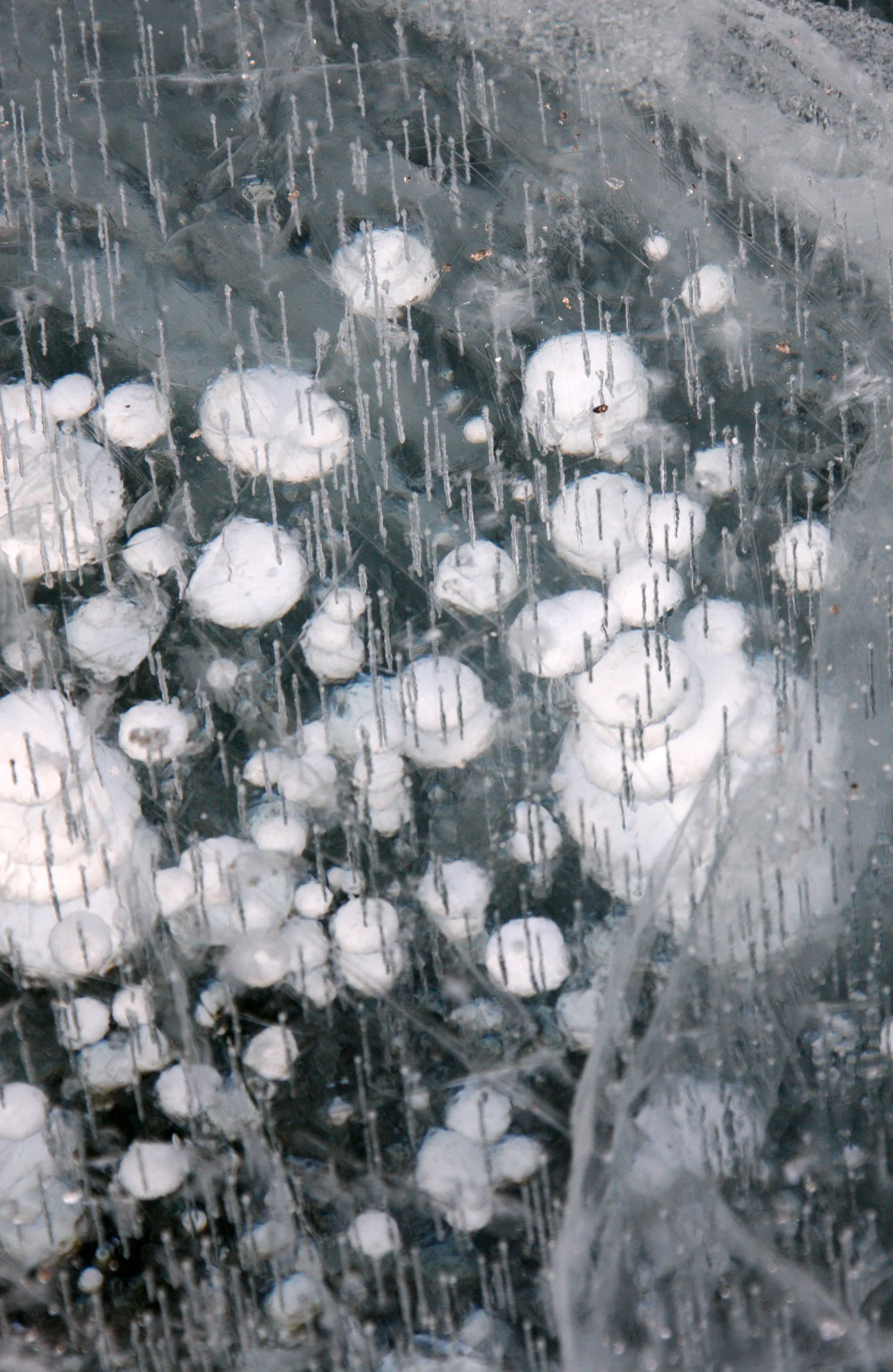 SONGHUA RIVER HARBIN CHINA - ACTIVITY ZONE! (28).JPG