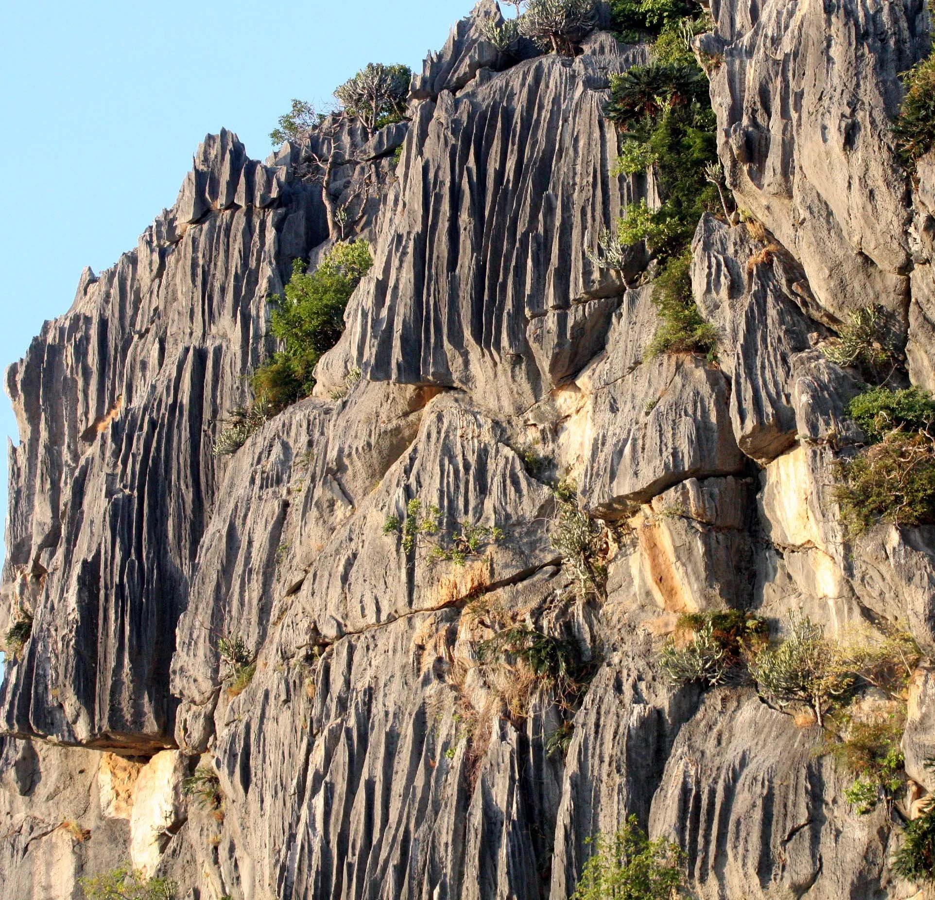 KHAO SAM ROI YOT THAILAND - 2009 (14).JPG