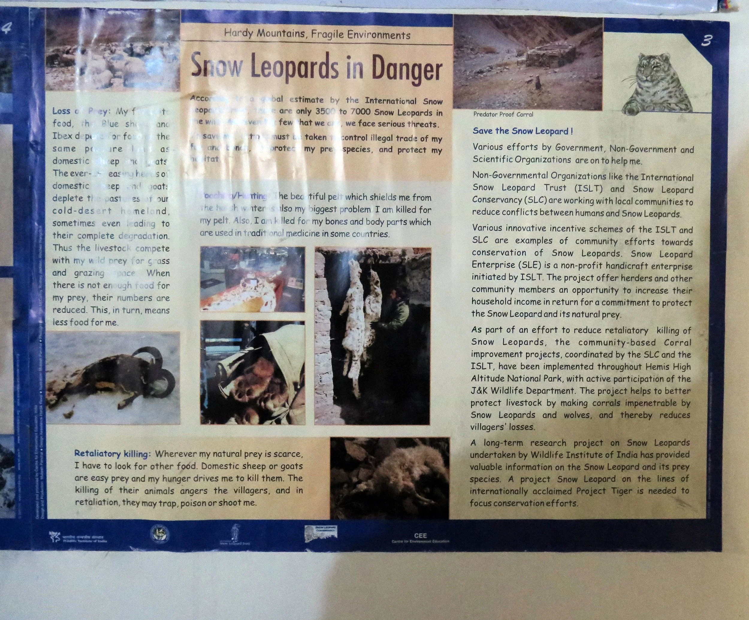 LEH - SNOW LEOPARD CONSERVANCY - SNOW LEOPARD EXPEDITION 2014 (7).JPG