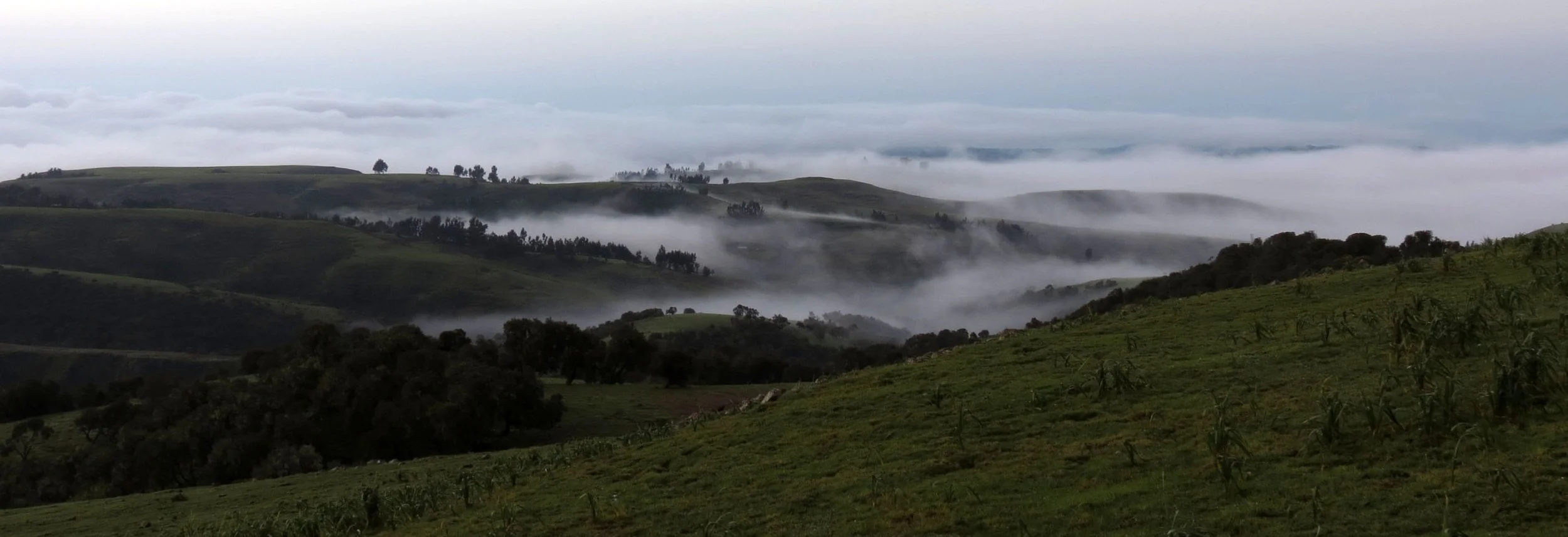 SIMIEN MOUNTAINS NATIONAL PARK ETHIOPIA (21).JPG