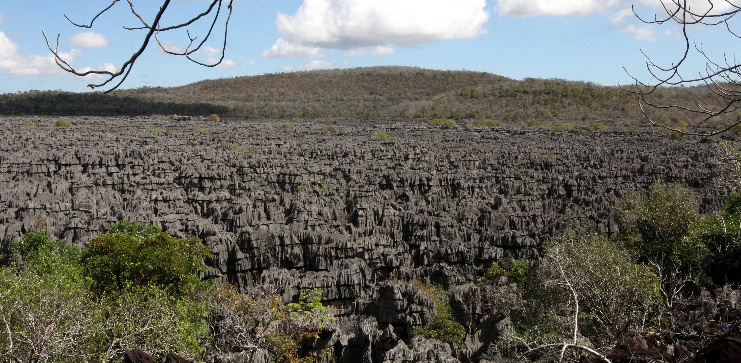 ANKARANA NATIONAL PARK MADAGASCAR - TSINGY FOREST (15).JPG