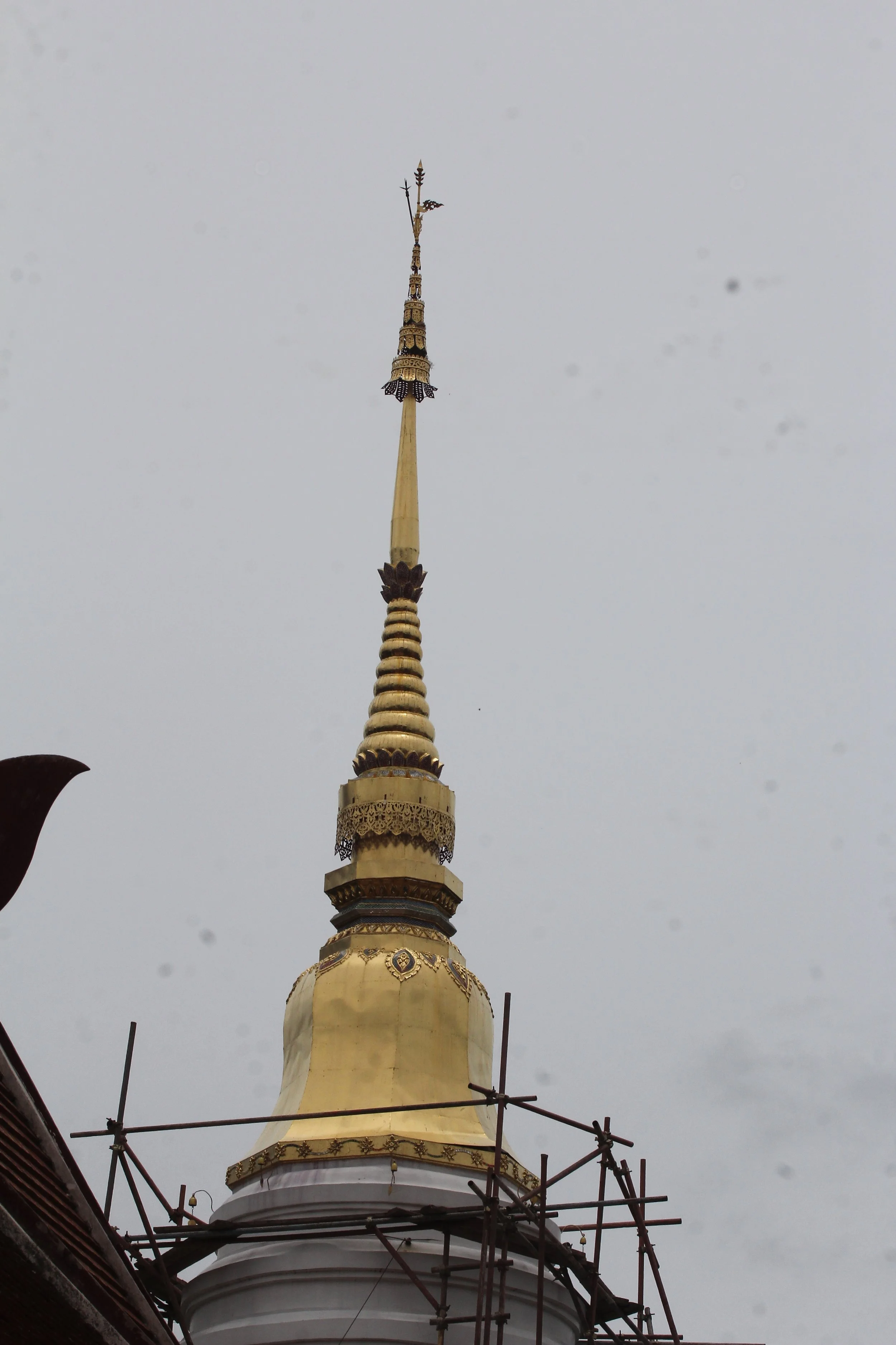 2020 1-2 July Phayao North Thailand Road Trip (70).JPG