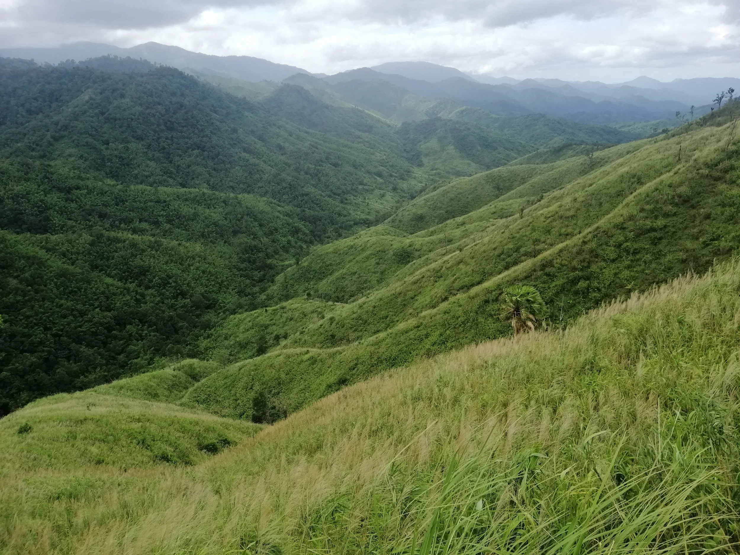 2021 Chong Yen and Surrounding Countryside (42).jpg