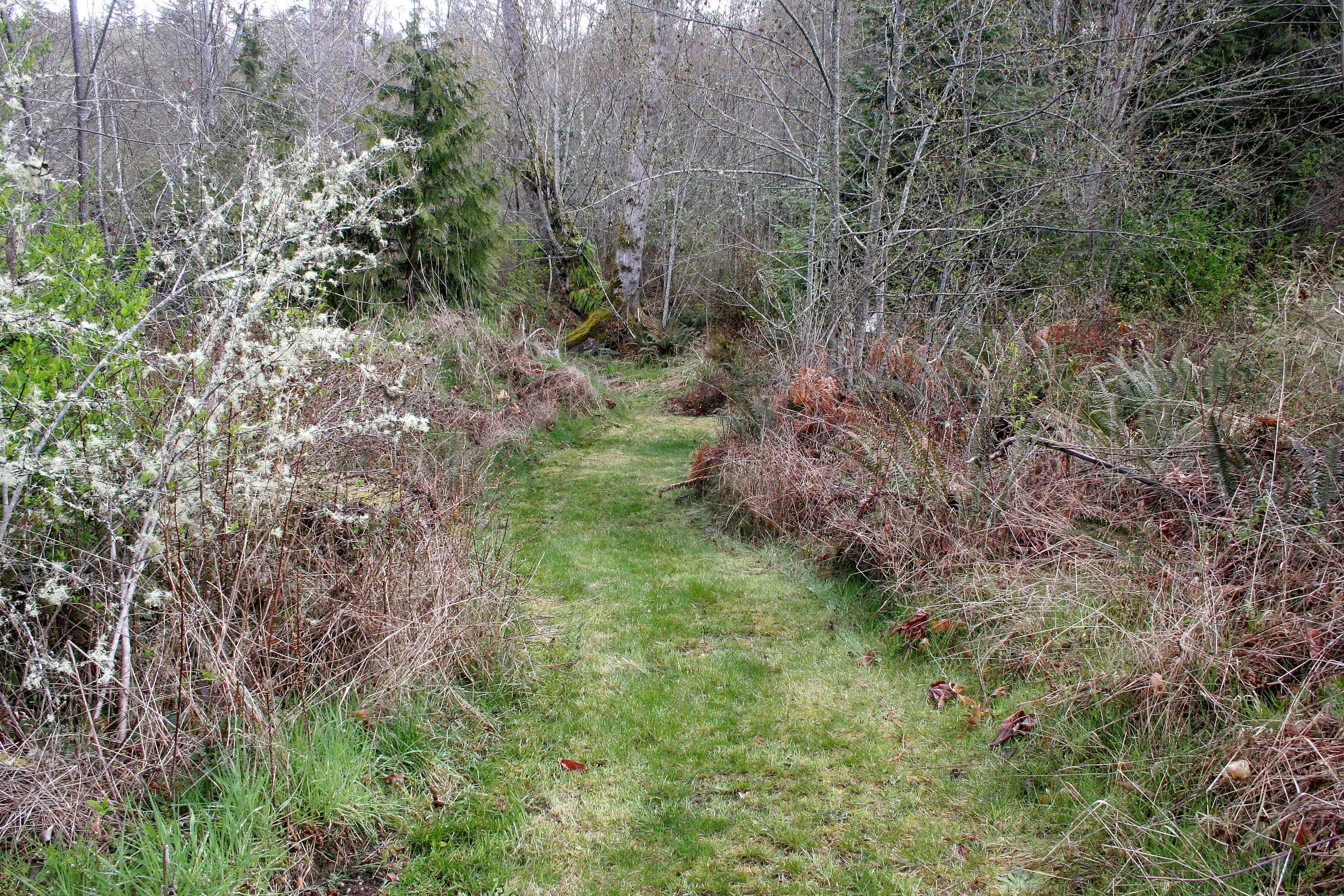 2008-4-19 LAKE FARM TRAILS WALK (25).JPG