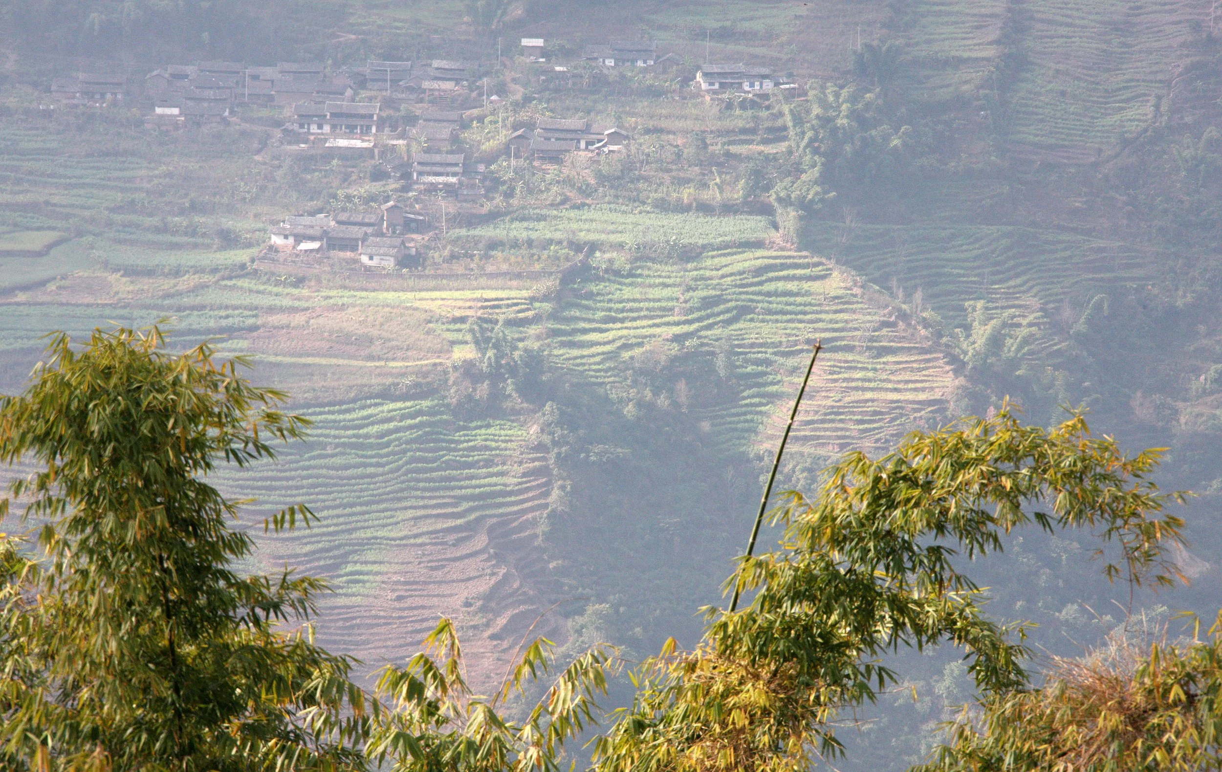 YUNNAN - WULIANGSHAN NATURE RESERVE AND SURROUNDING REGION (20).JPG