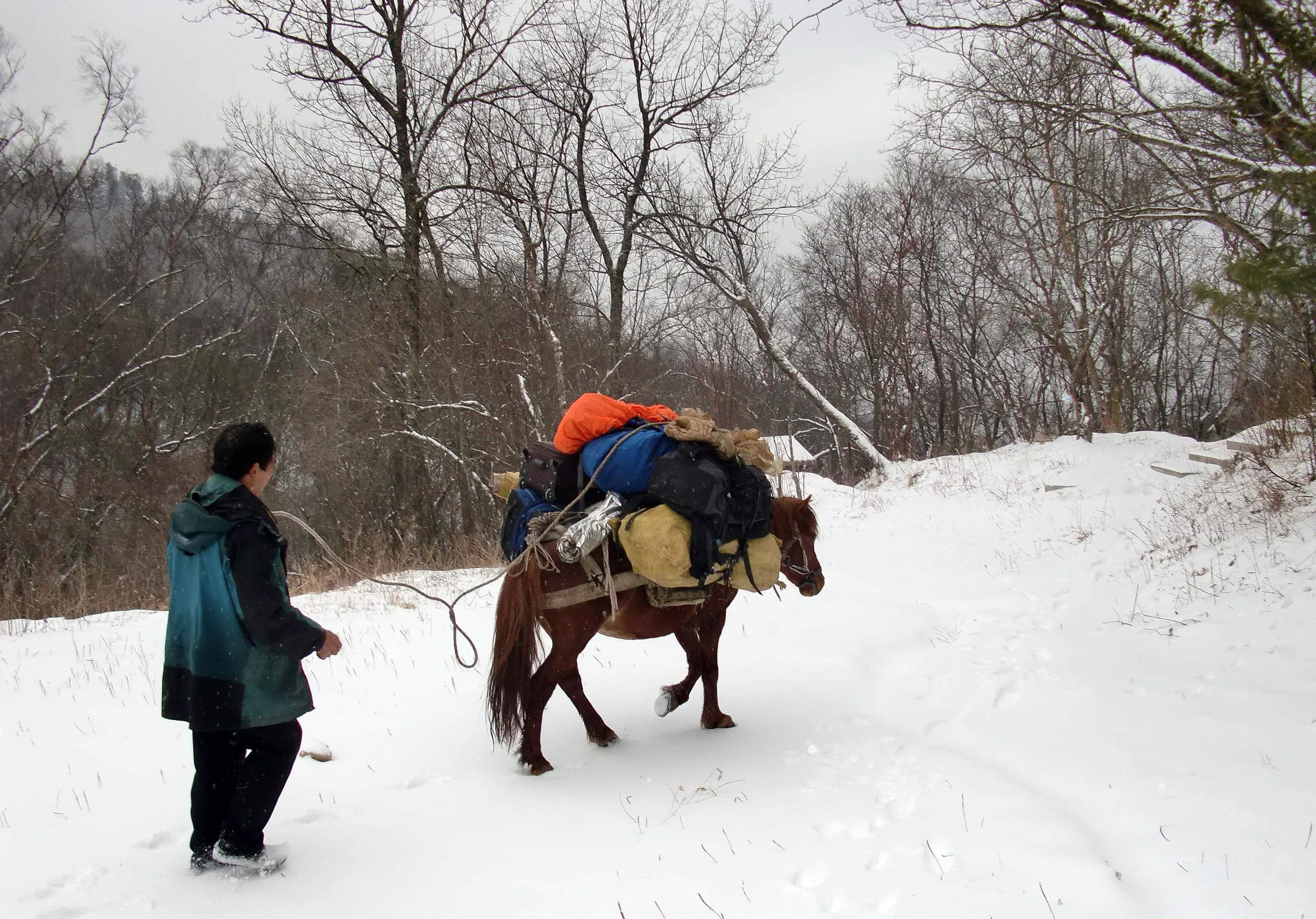 FOPING NATURE RESERVE - SHAANXI PROVINCE CHINA (22).JPG