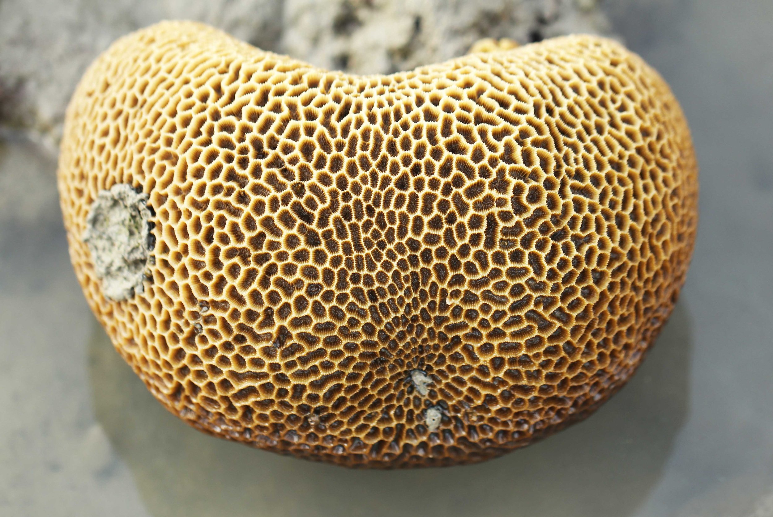 2015 Koh Lanta Songkran with friends from ISB (629).JPG