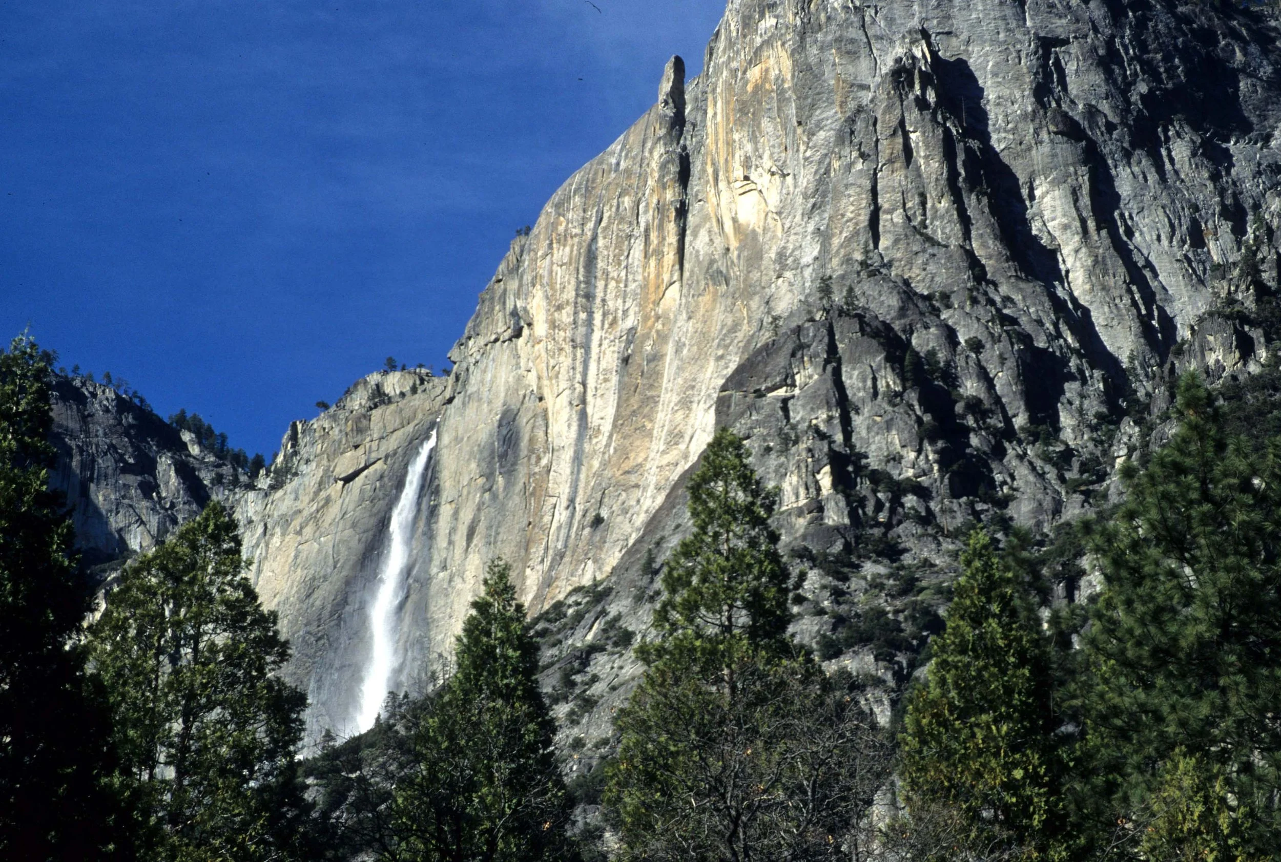 CALIFORNIA - YOSEMITE NATIONAL PARK (9).jpg