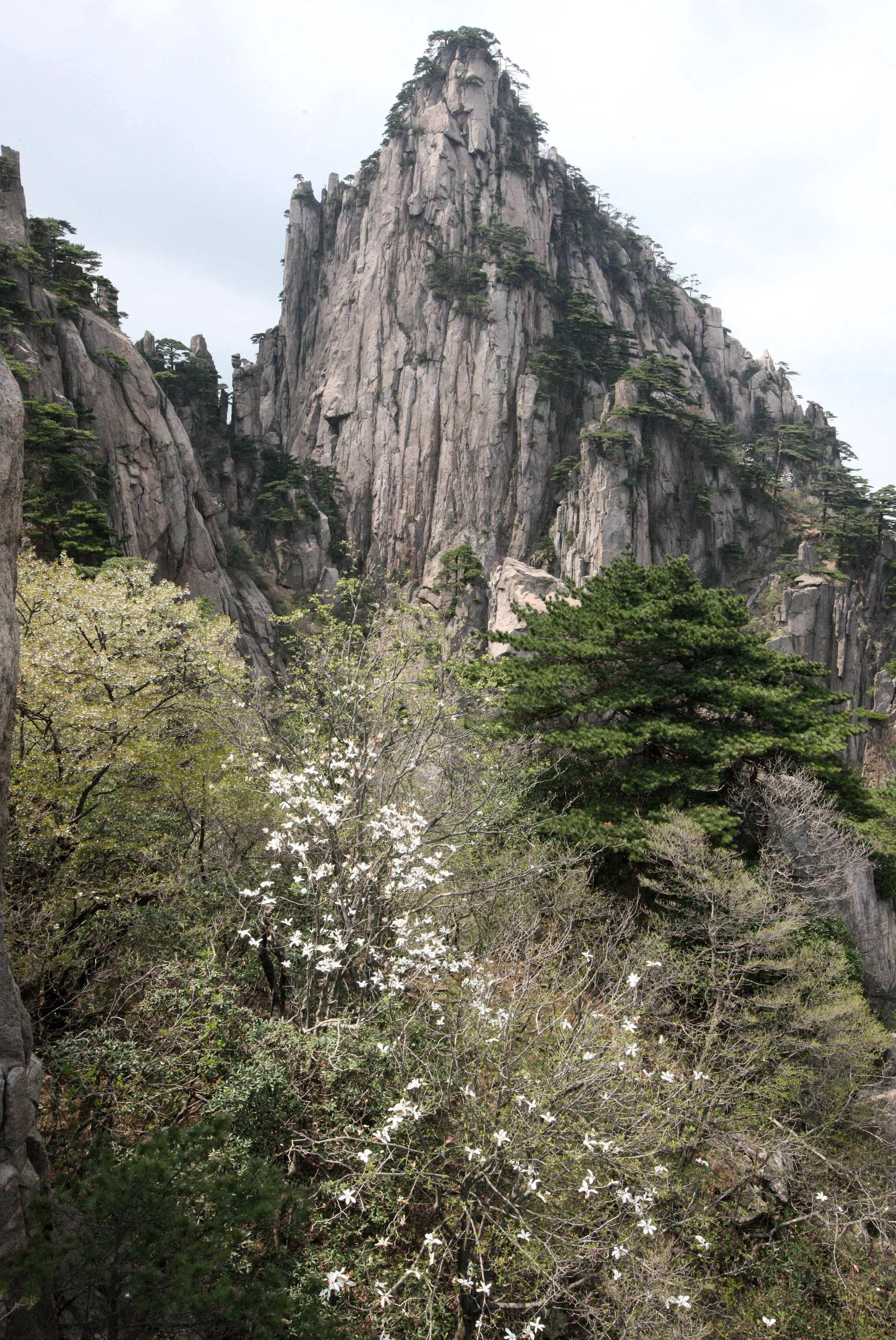 HUANGSHAN NATIONAL PARK ANHUI PROVINCE CHINA (65).JPG