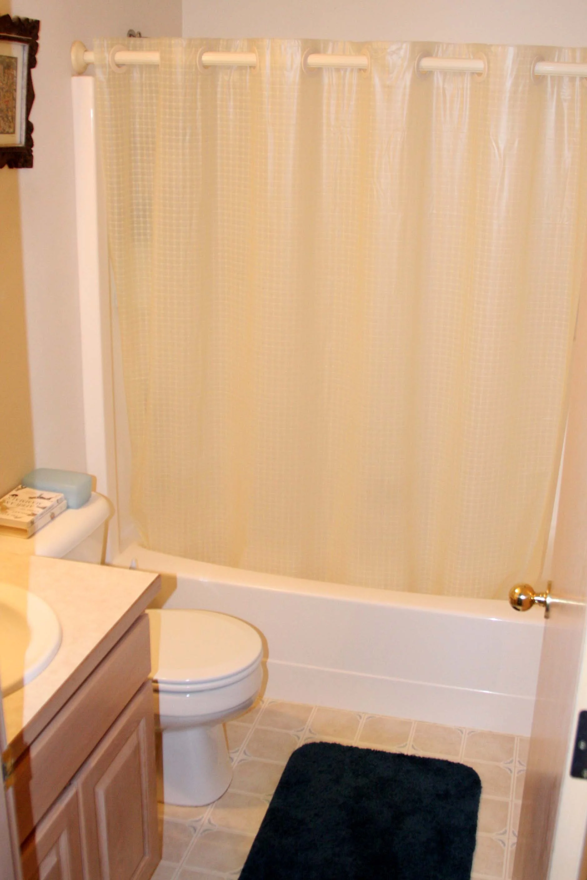 2009-4-24 - HOUSE - BATHROOM #2 - SECOND LEVEL.JPG