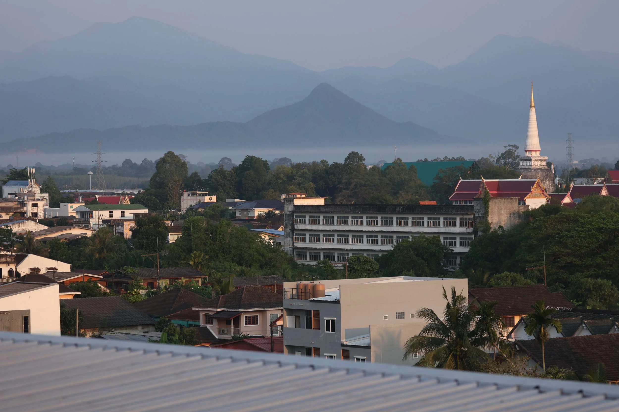 2022 Nakhonsithammarat Wat Mahatat and City Scenes with Cokie (10).JPG