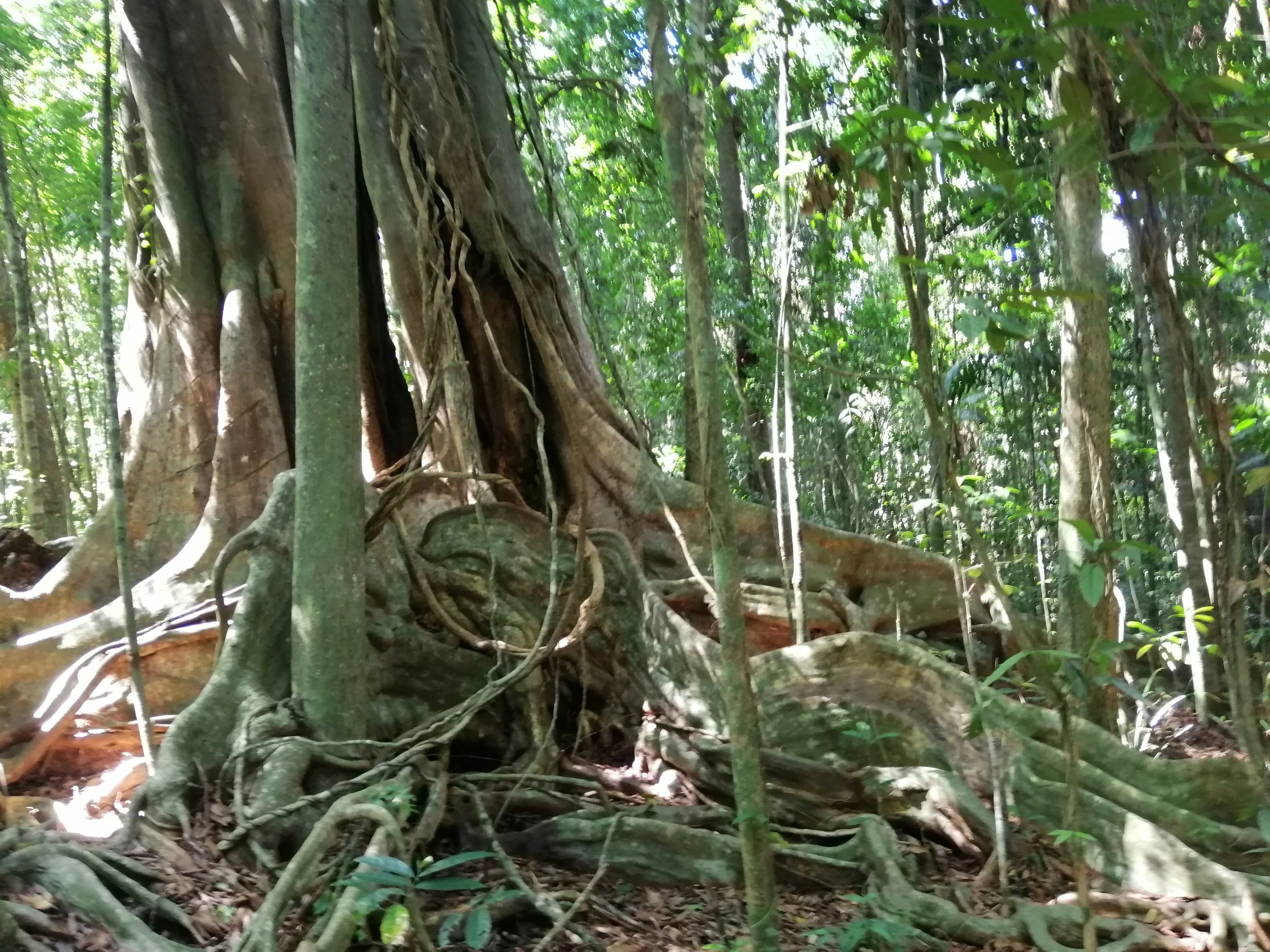 2019 Koh Kood Road Trip (51).jpg