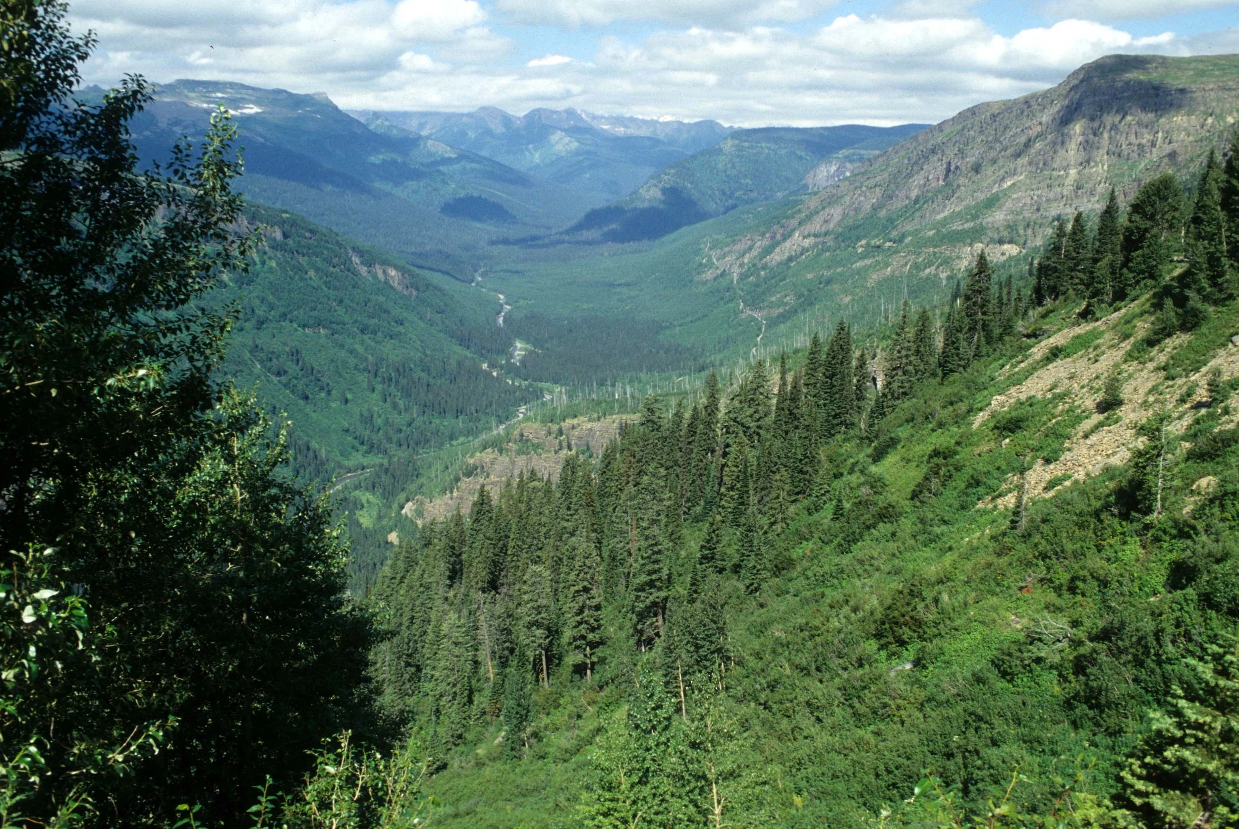 MONTANA - GLACIER - GLACIER NATIONAL PARK VIEWS.jpg