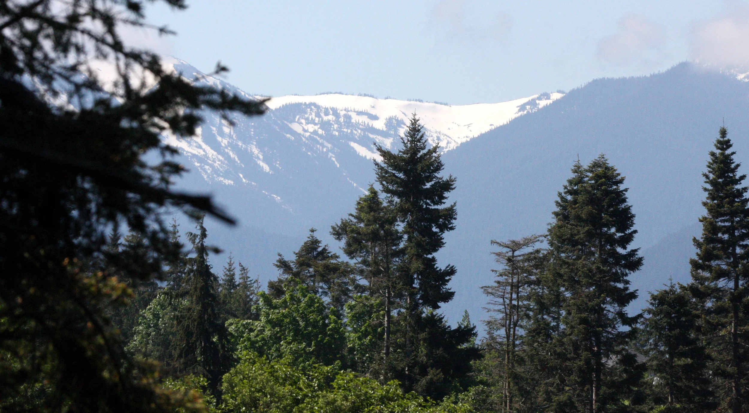 KLAHANE RIDGE FROM LAKE FARM  (6).JPG