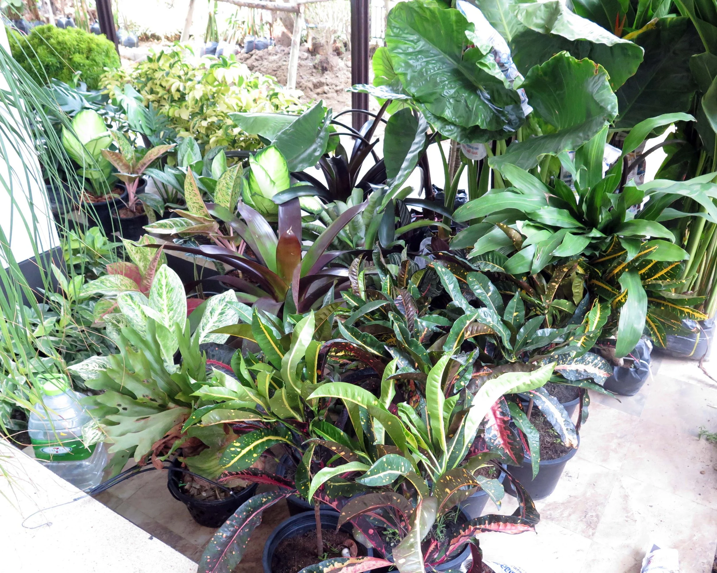 2013 Nonthaburi Setthasiri House and Nonthaburi Neighborhood (74).JPG