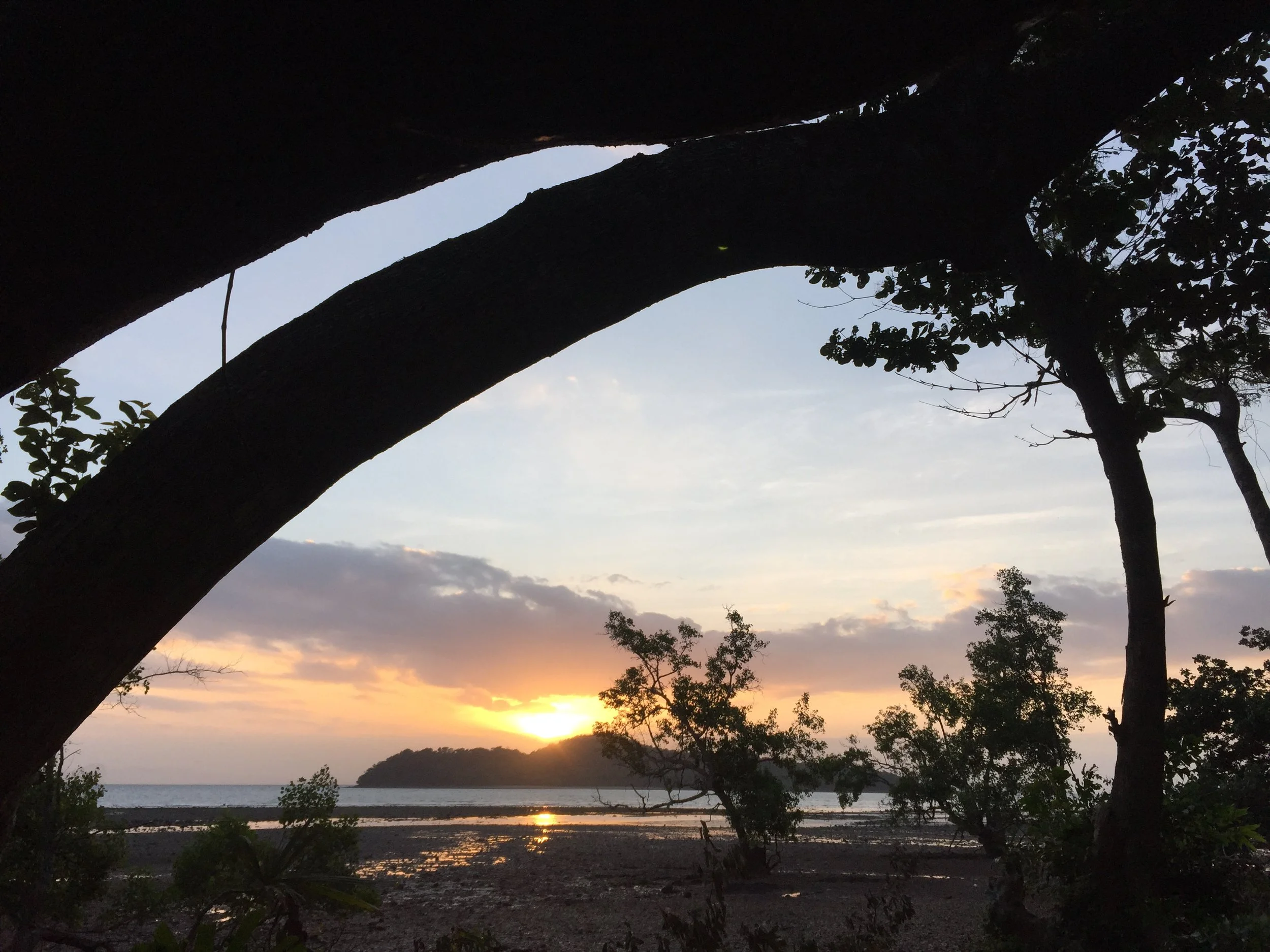 2015 Koh Lanta Garden & Nature (288).JPG